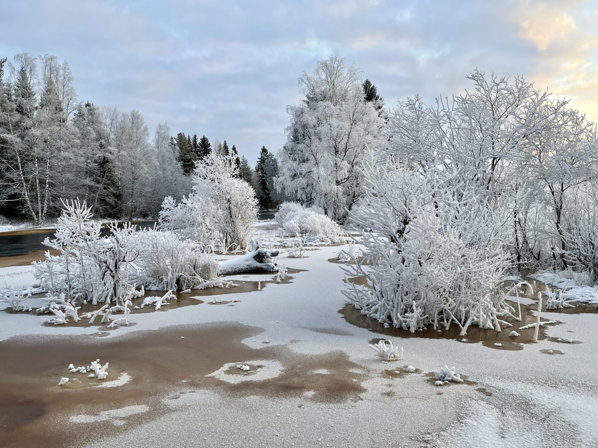 Valokuvaaja: Tuukka Pahtamaa