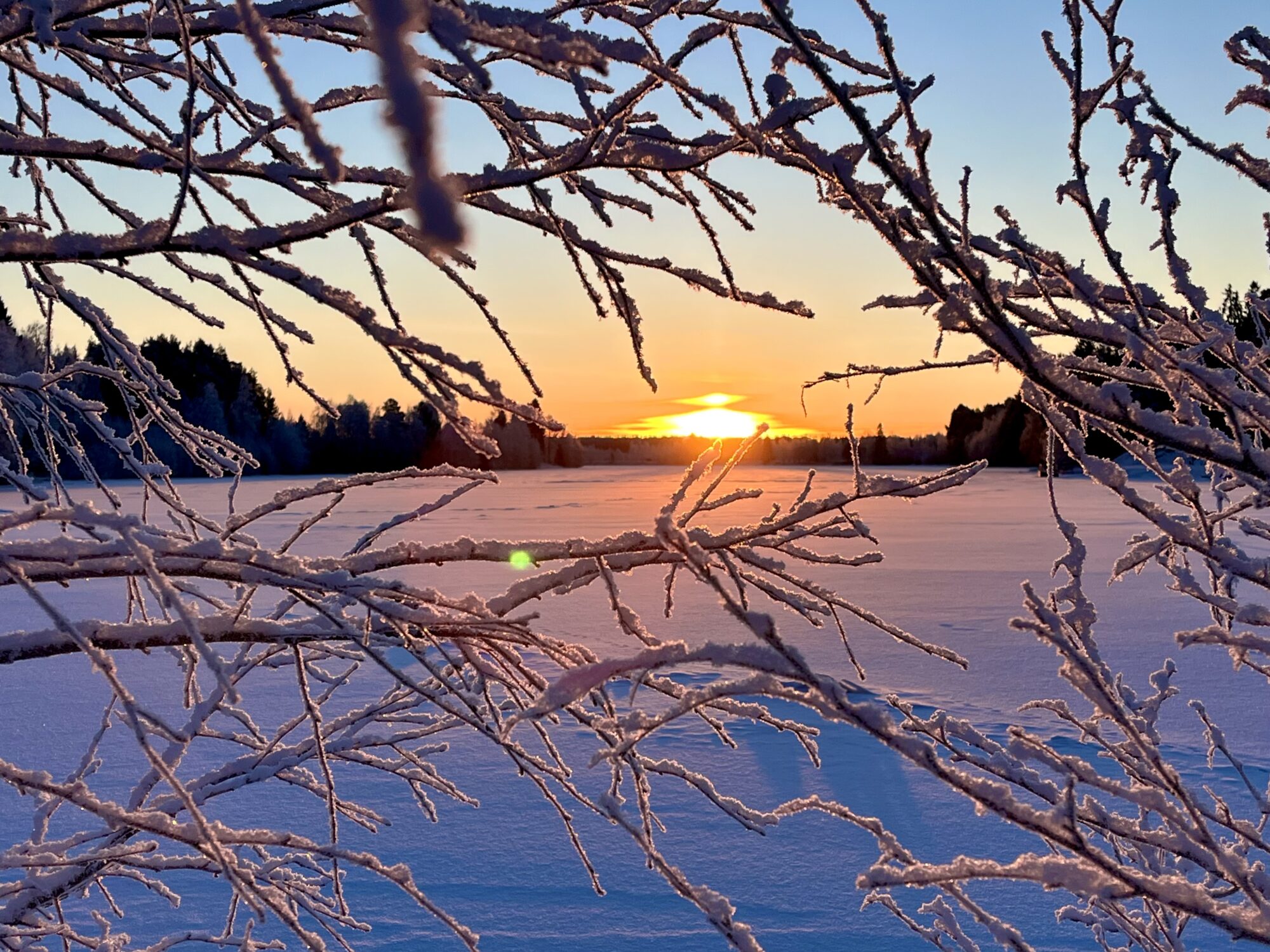 Valokuvaaja: Tuukka Pahtamaa