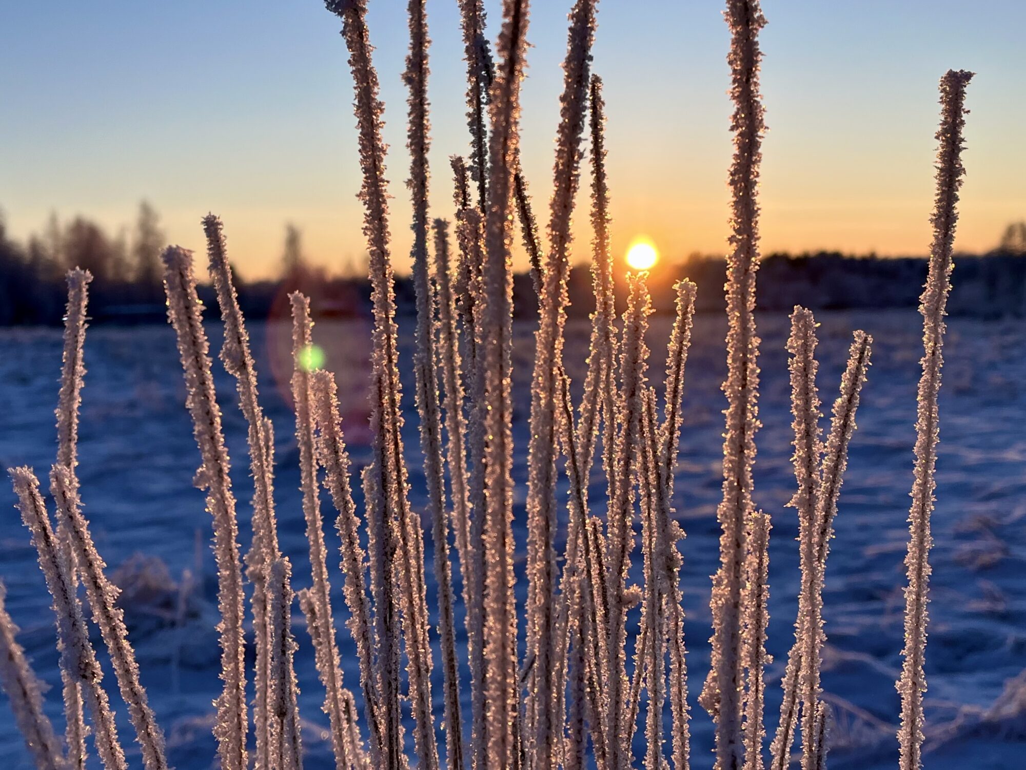 Valokuvaaja: Tuukka Pahtamaa
