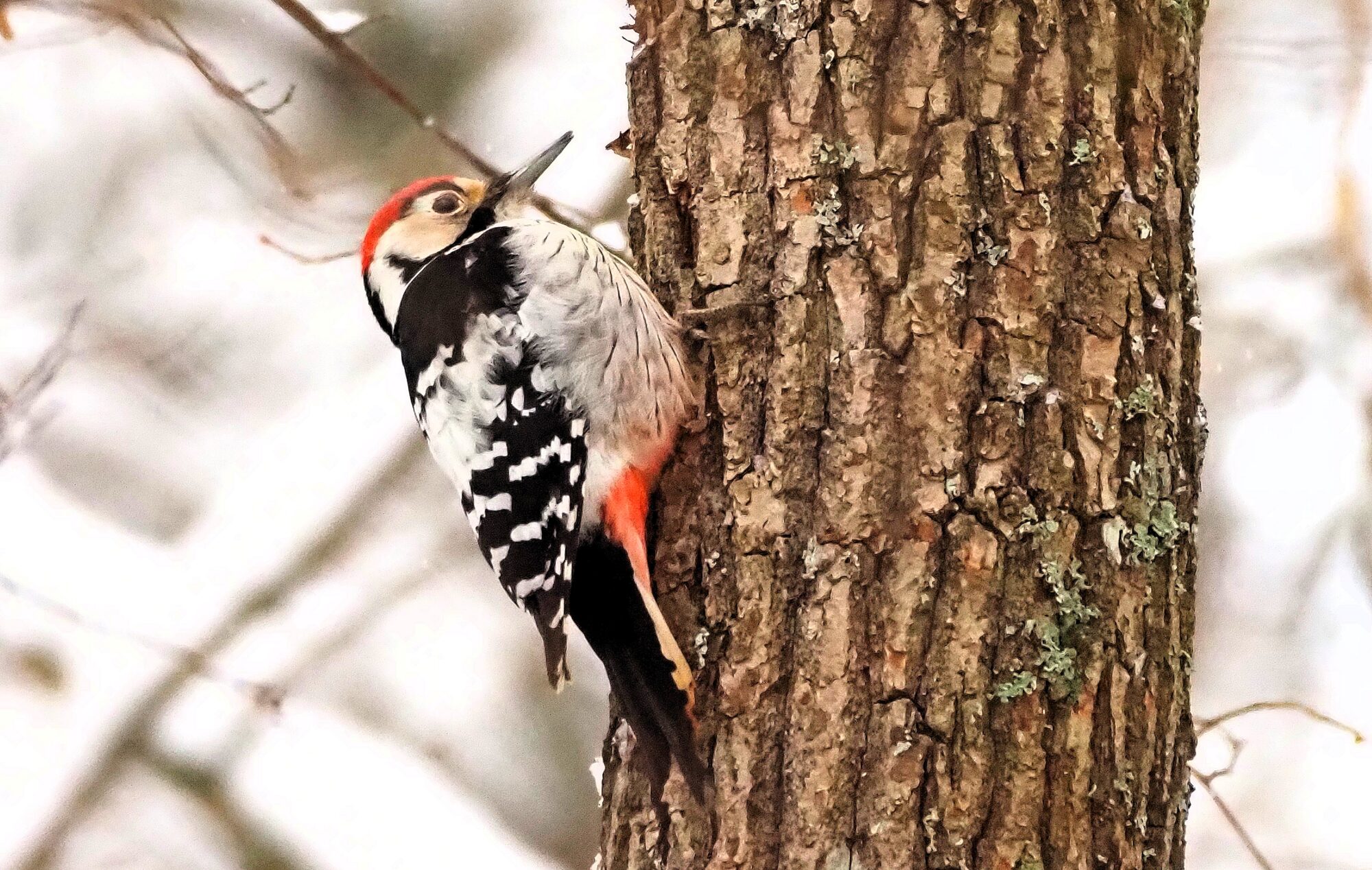 Valokuvaaja: Arja Valtonen