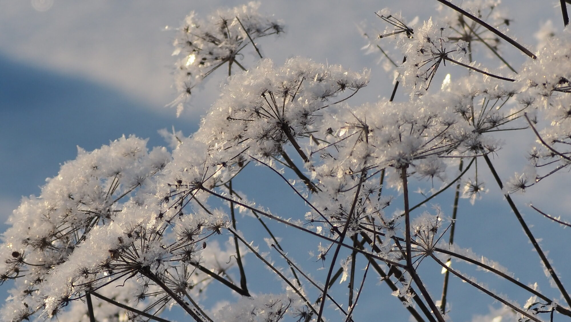 Valokuvaaja: Arja Valtonen