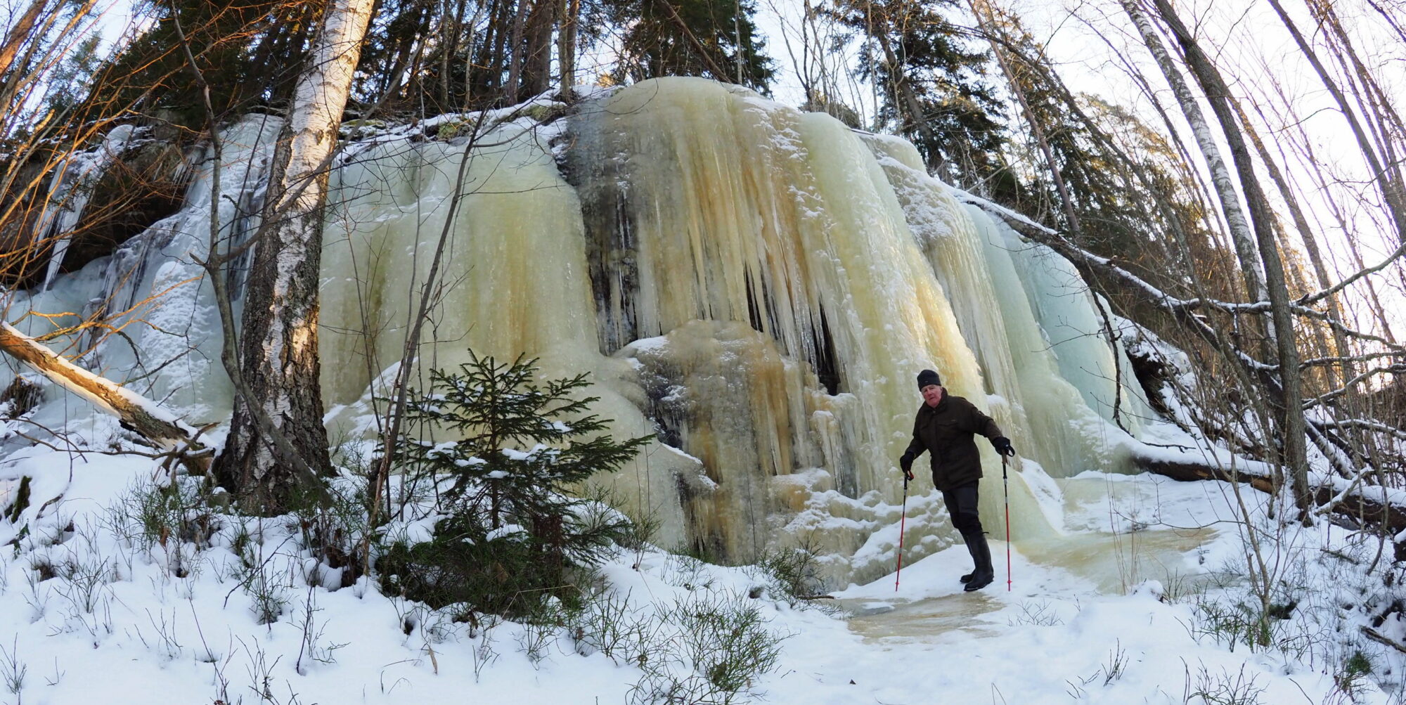 Valokuvaaja: Kari Aaltonen