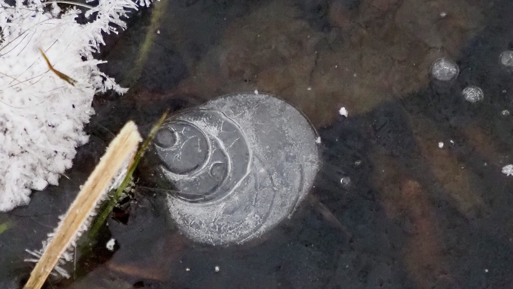 Valokuvaaja: Arja Valtonen