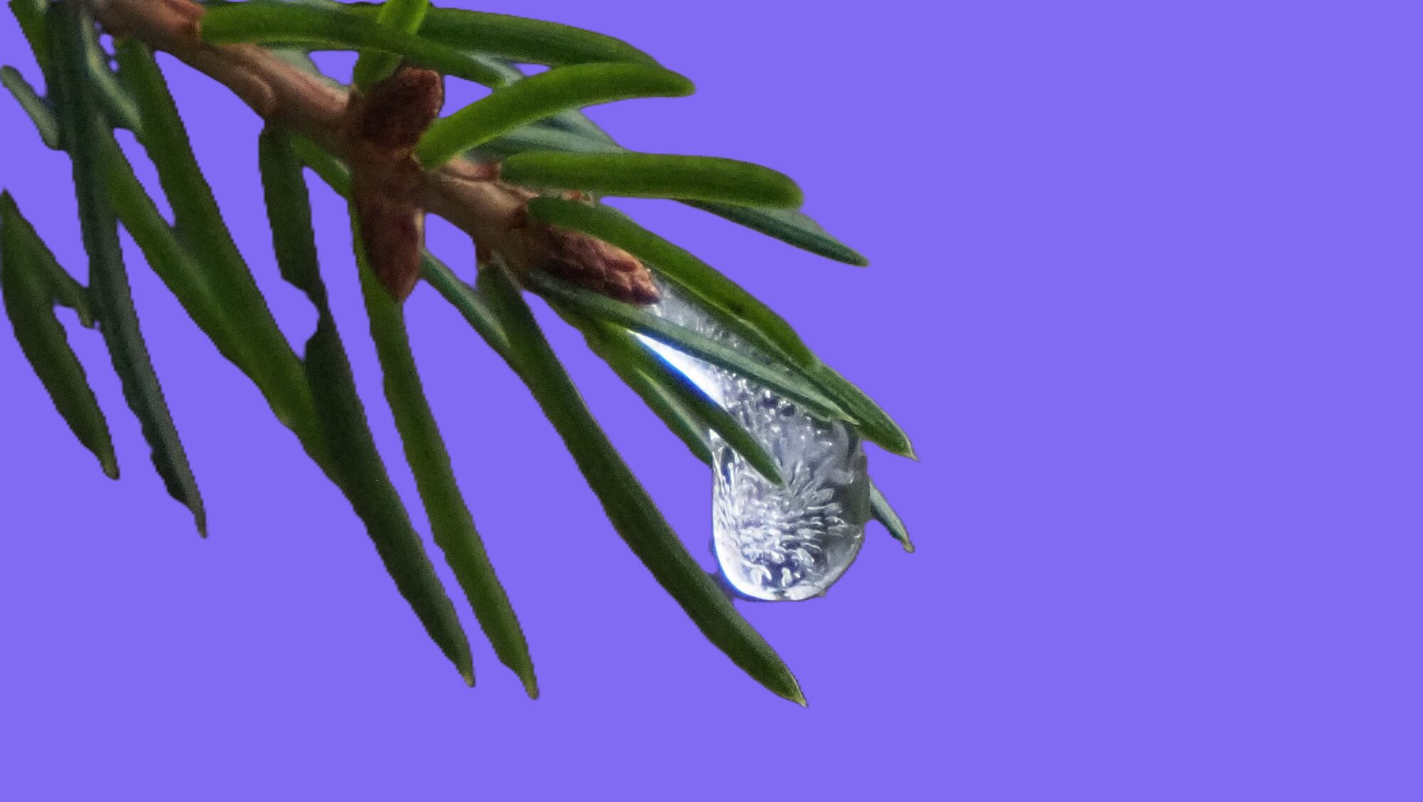 Valokuvaaja: Arja Valtonen