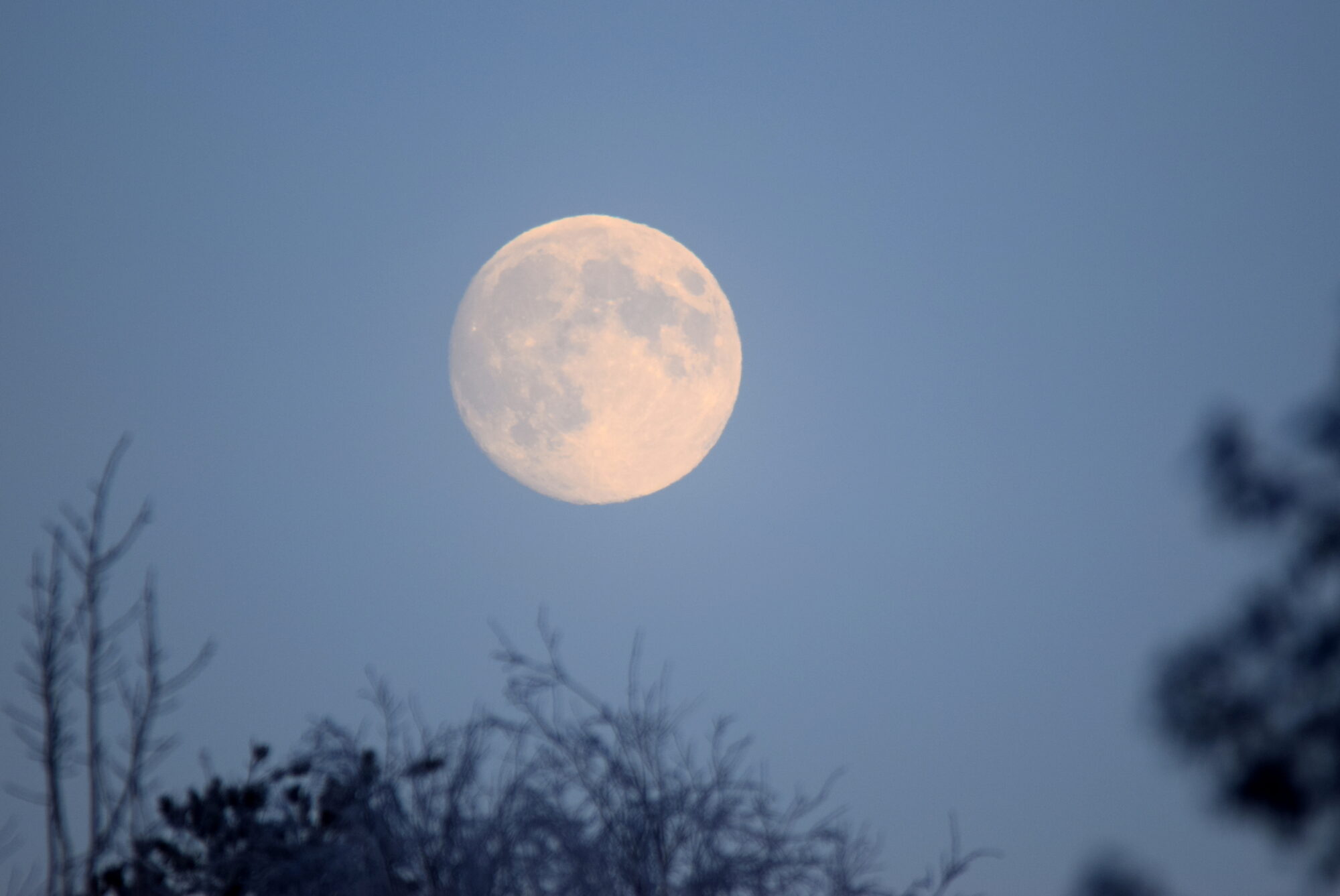 Valokuvaaja: Kaarlo Asikainen