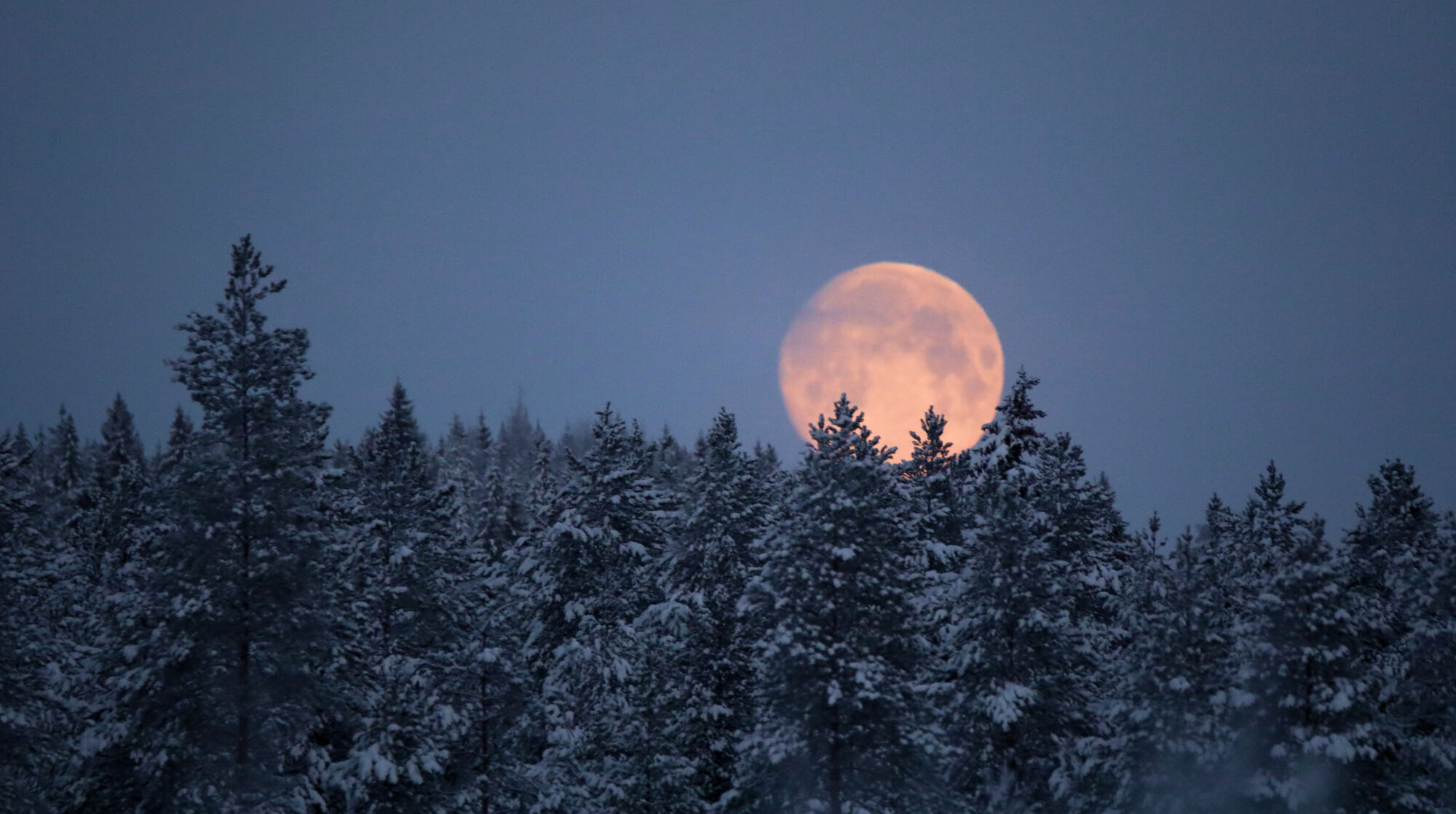 Valokuvaaja: Ahti Keränen