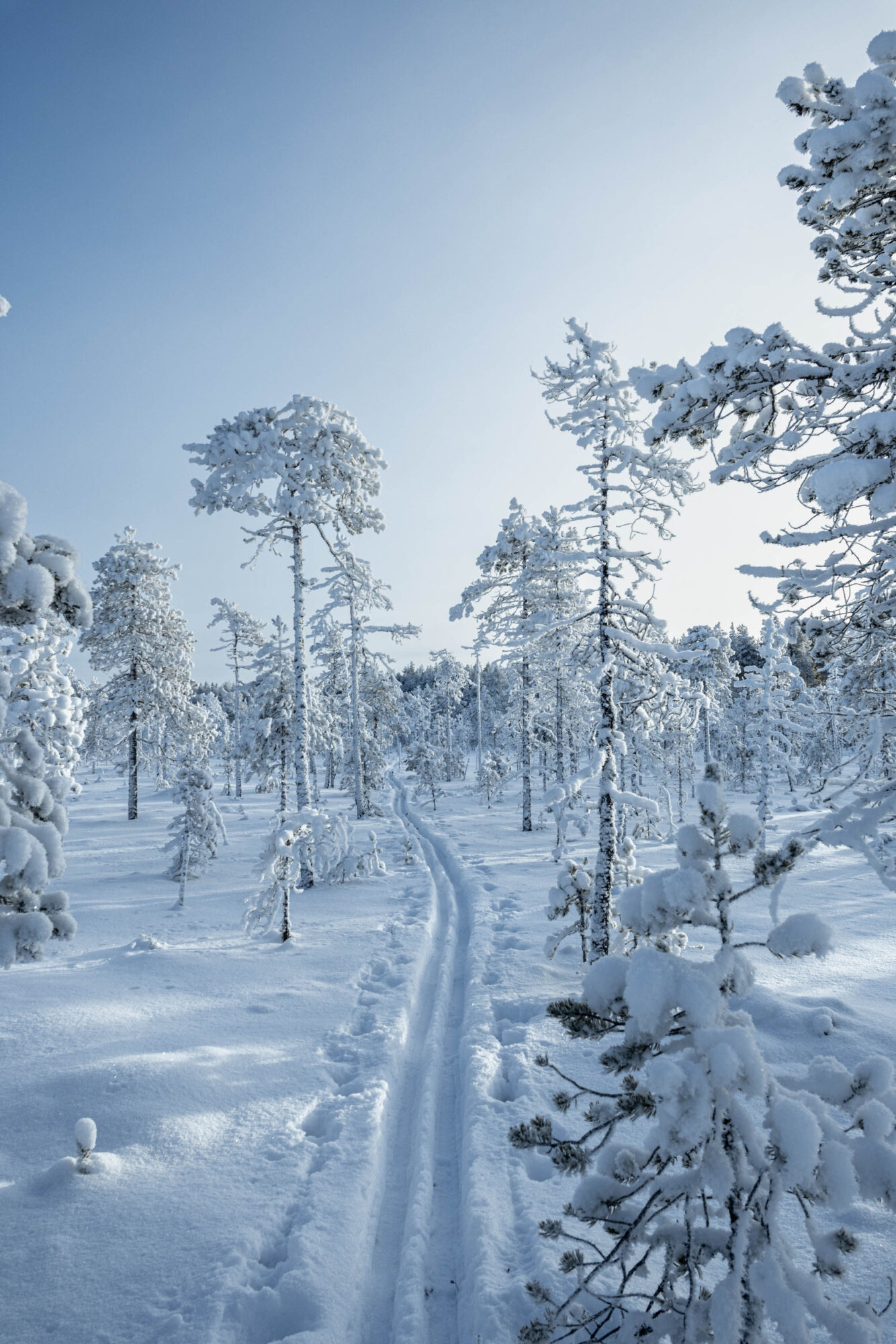 Valokuvaaja: Hannu Tikkanen