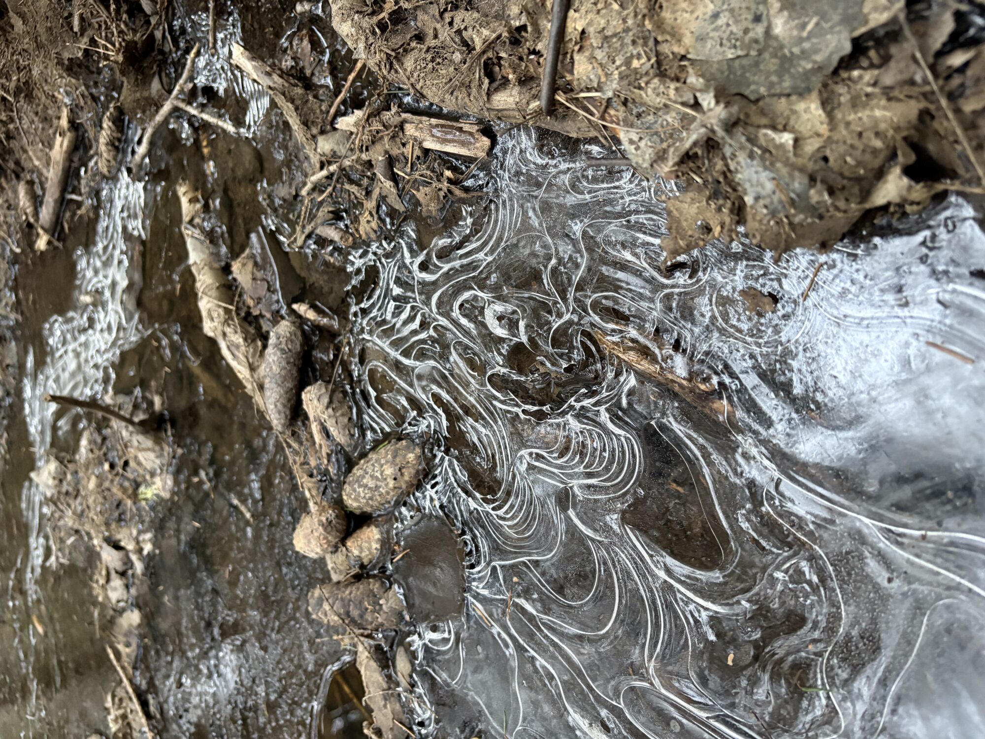 Valokuvaaja: Tuuli Järvinen