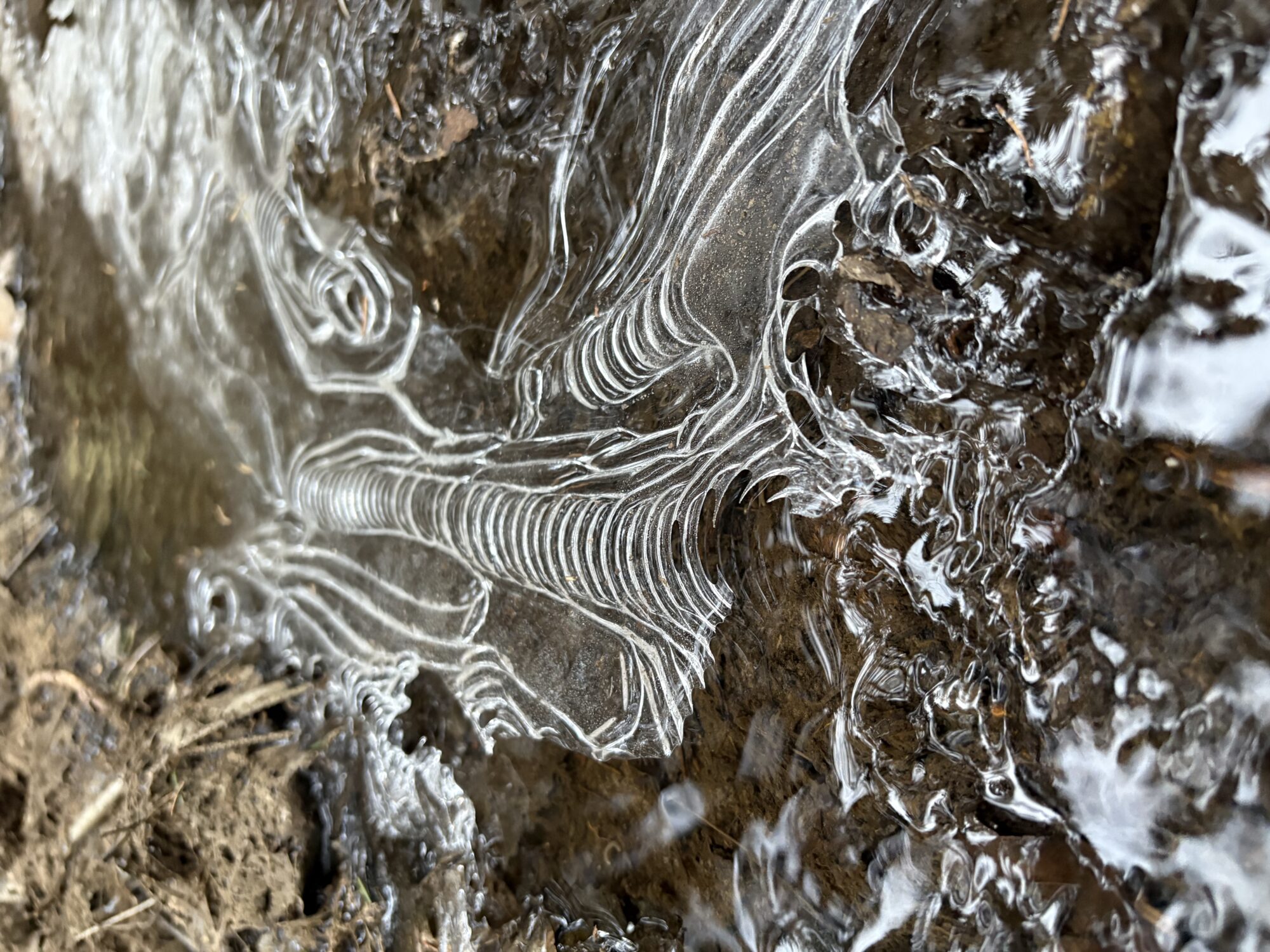 Valokuvaaja: Tuuli Järvinen