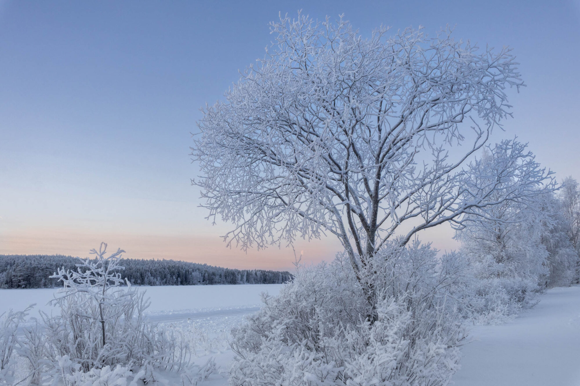 Valokuvaaja: Hannu Tikkanen