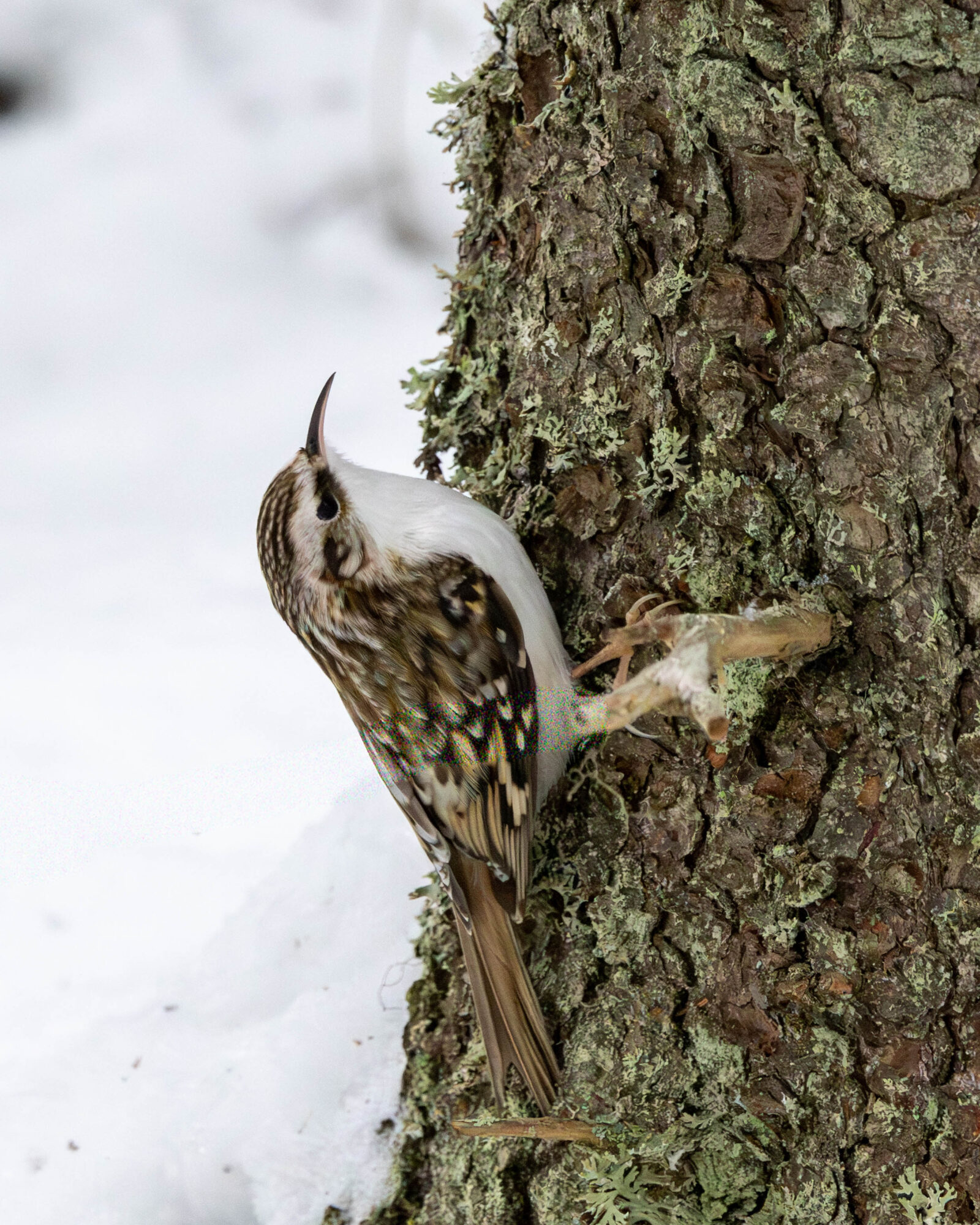 Valokuvaaja: Hannu Tikkanen