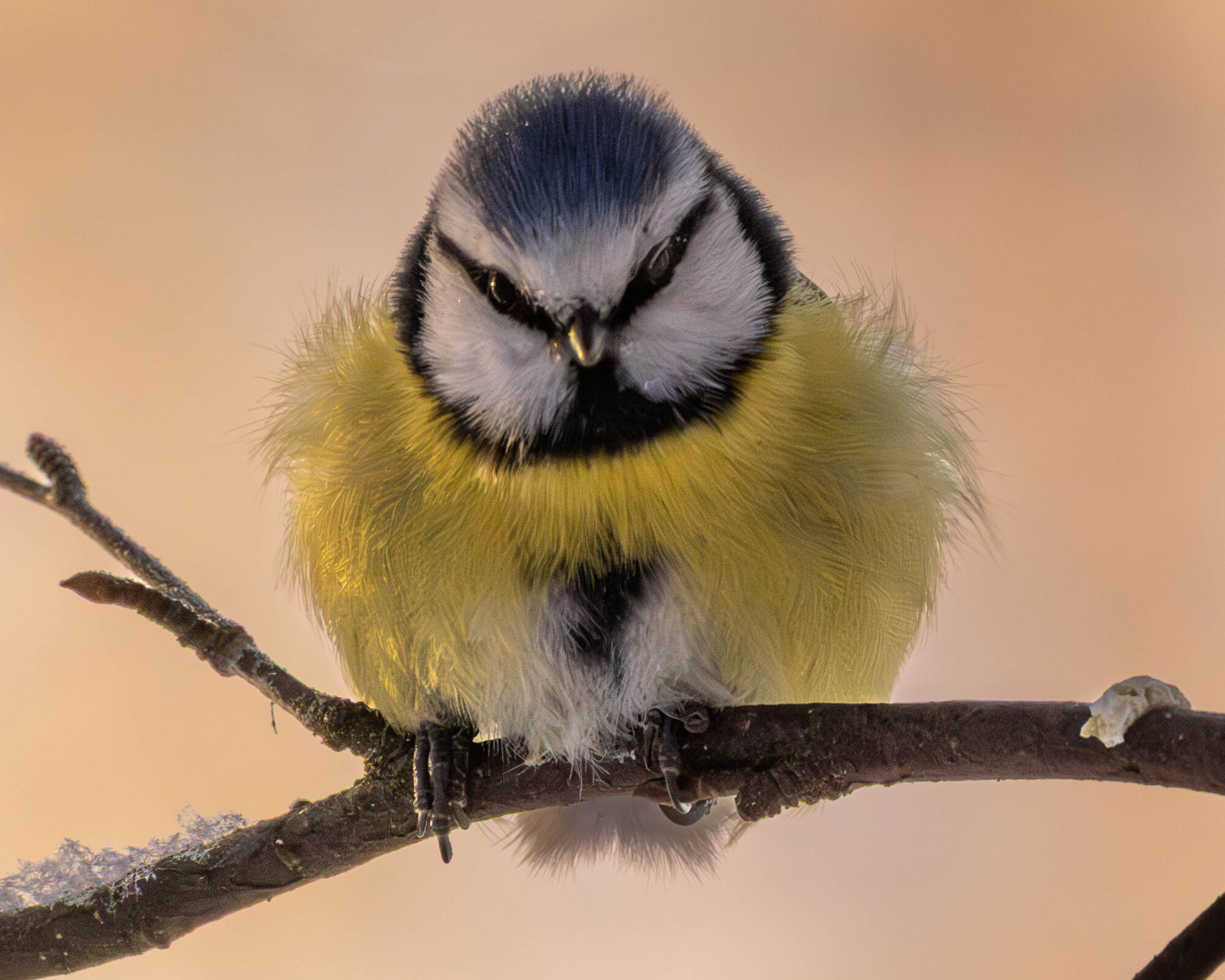 Valokuvaaja: Hannu Tikkanen