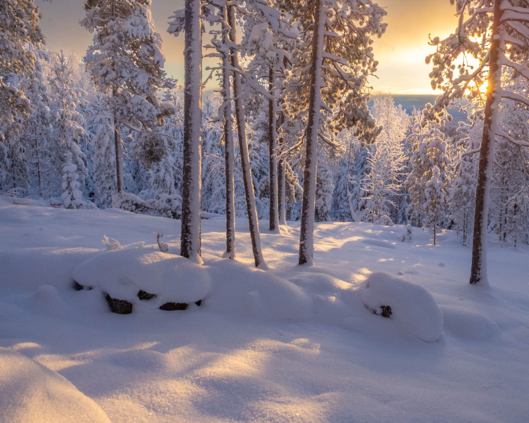 Valokuvaaja: Hannu Tikkanen