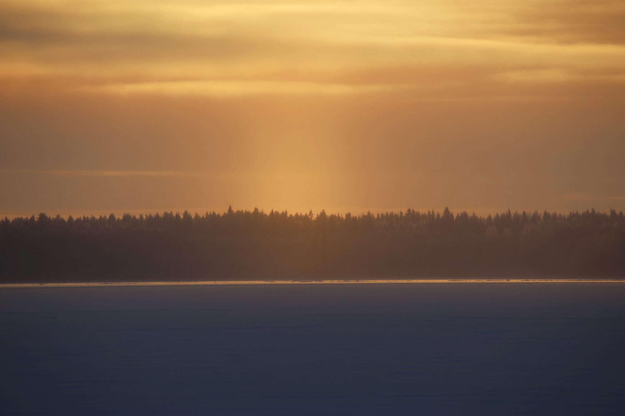Valokuvaaja: Jaana Saarelainen