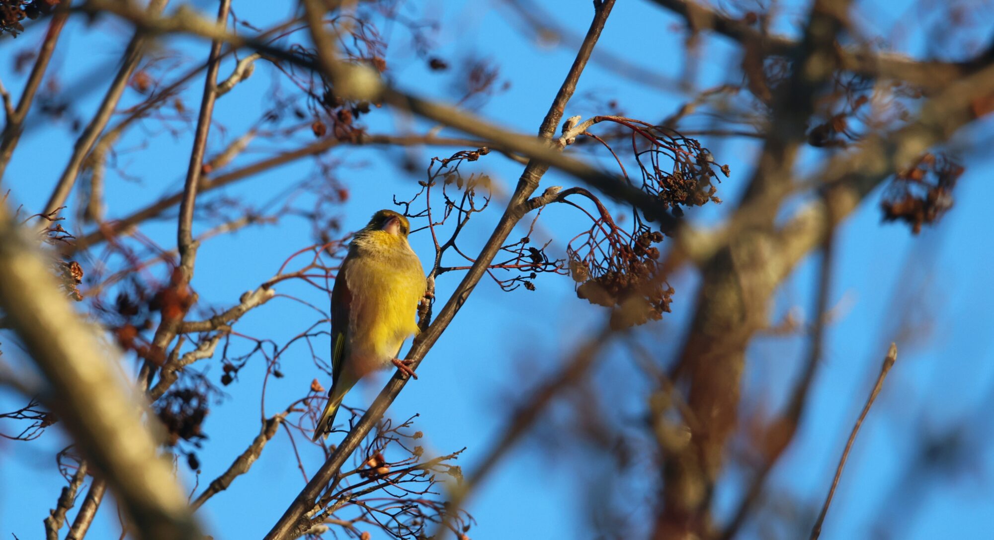 Valokuvaaja: Jaana Saarelainen