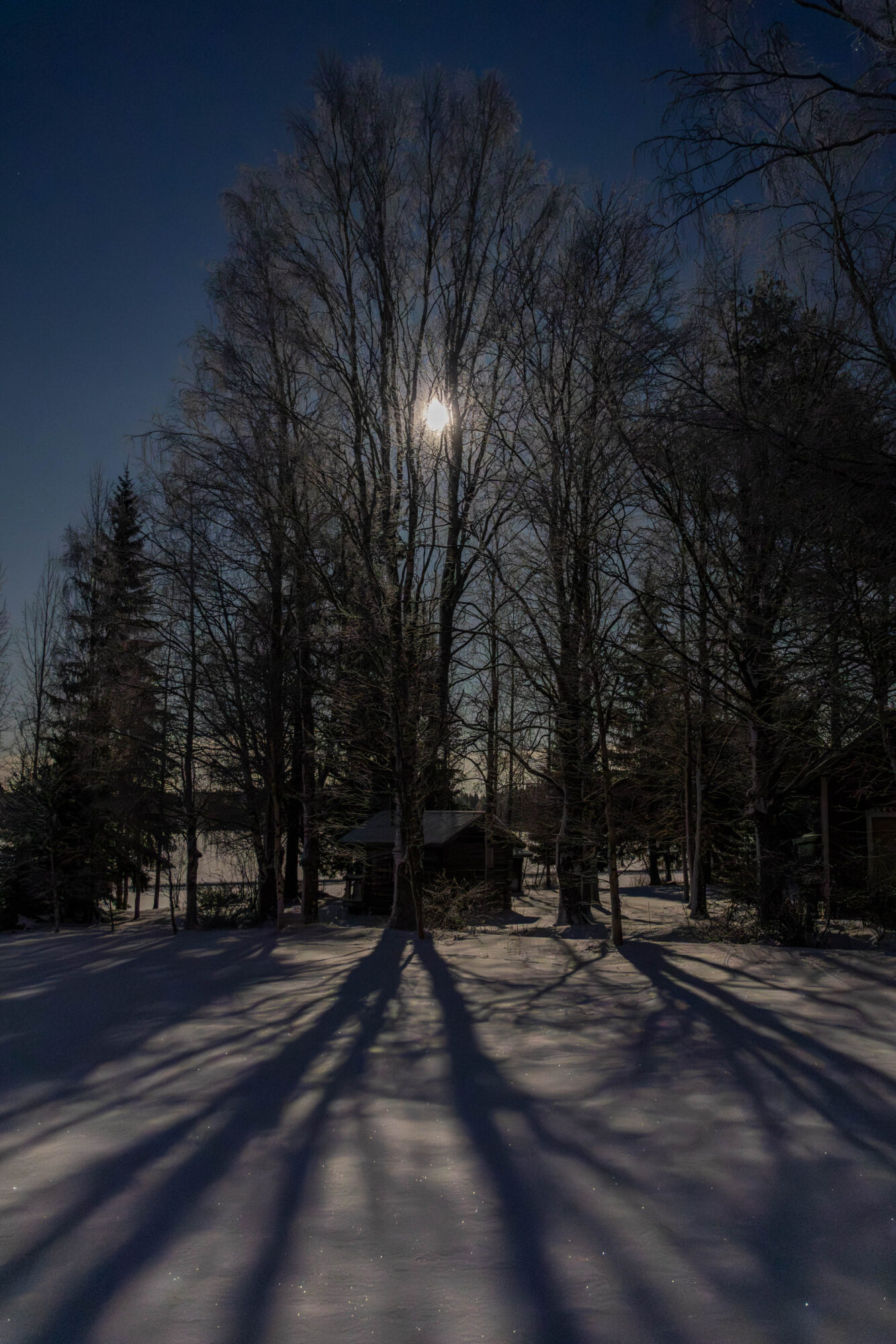 Valokuvaaja: Hannu Tikkanen