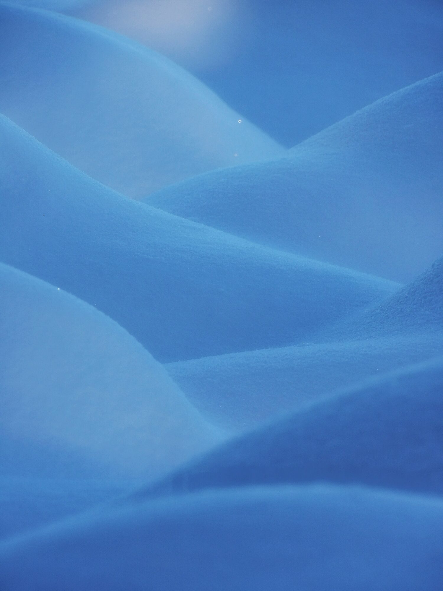 Valokuvaaja: Salla Kumpulainen