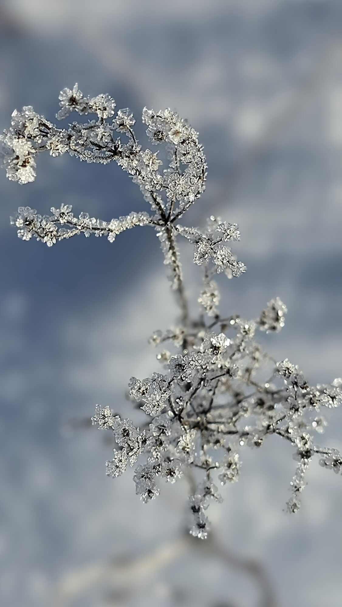Valokuvaaja: Jukka Veijola