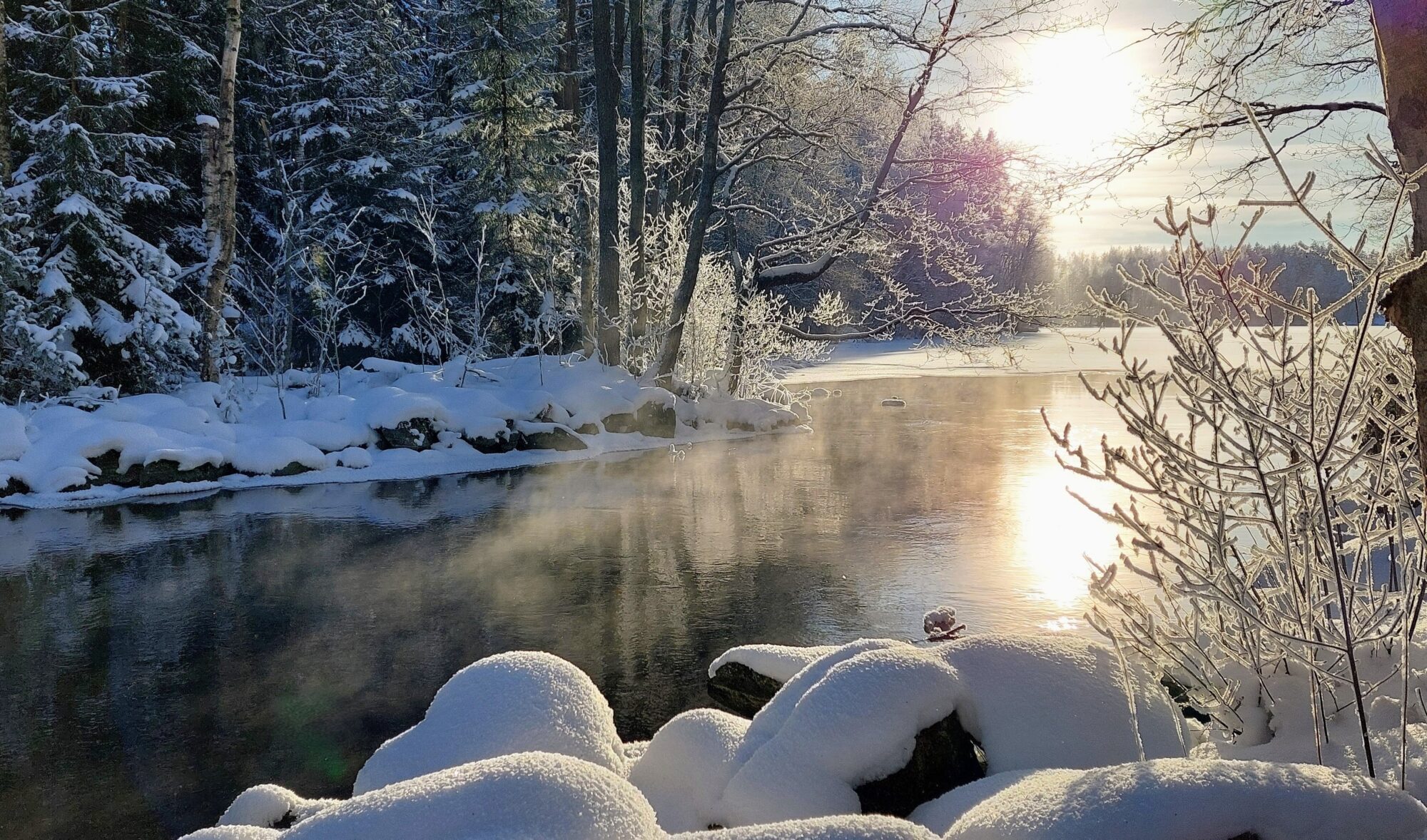 Valokuvaaja: Tarja Naukkarinen
