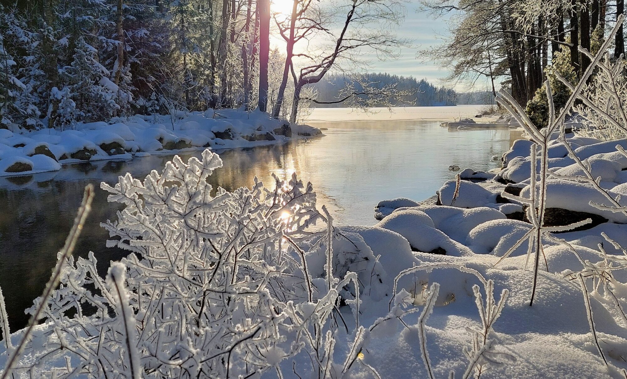 Valokuvaaja: Tarja Naukkarinen