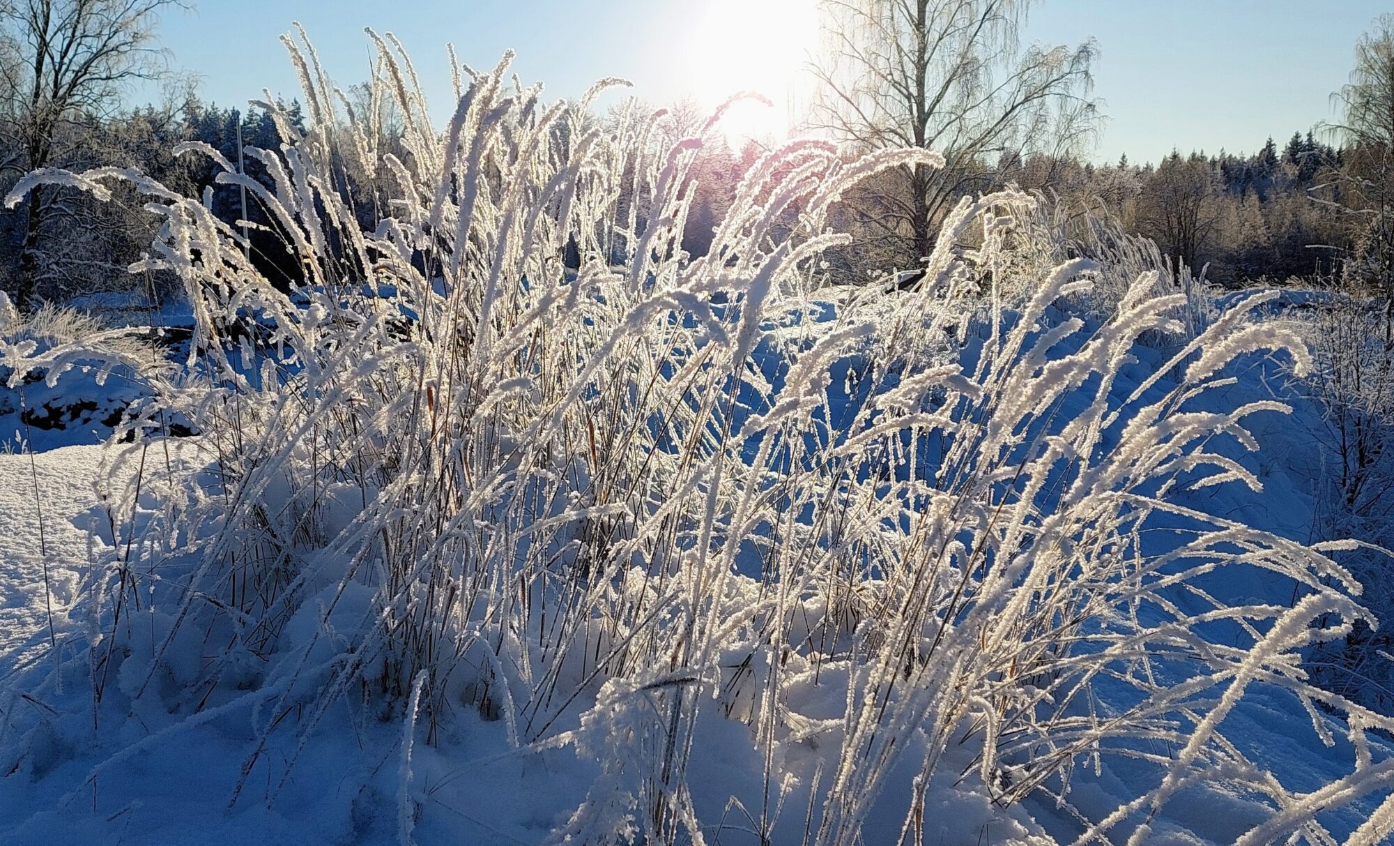 Valokuvaaja: Tarja Naukkarinen