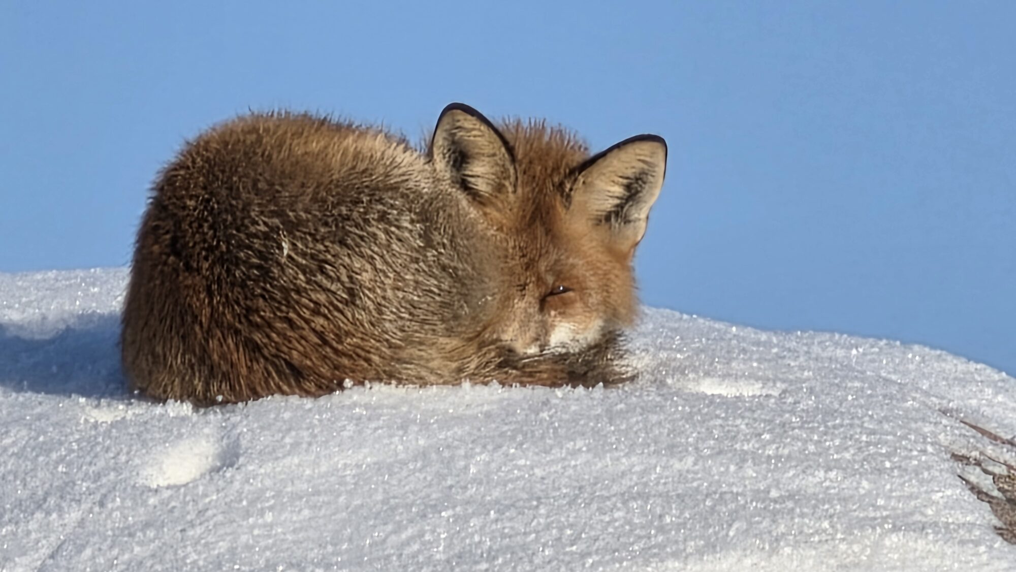 Valokuvaaja: Jukka Veijola
