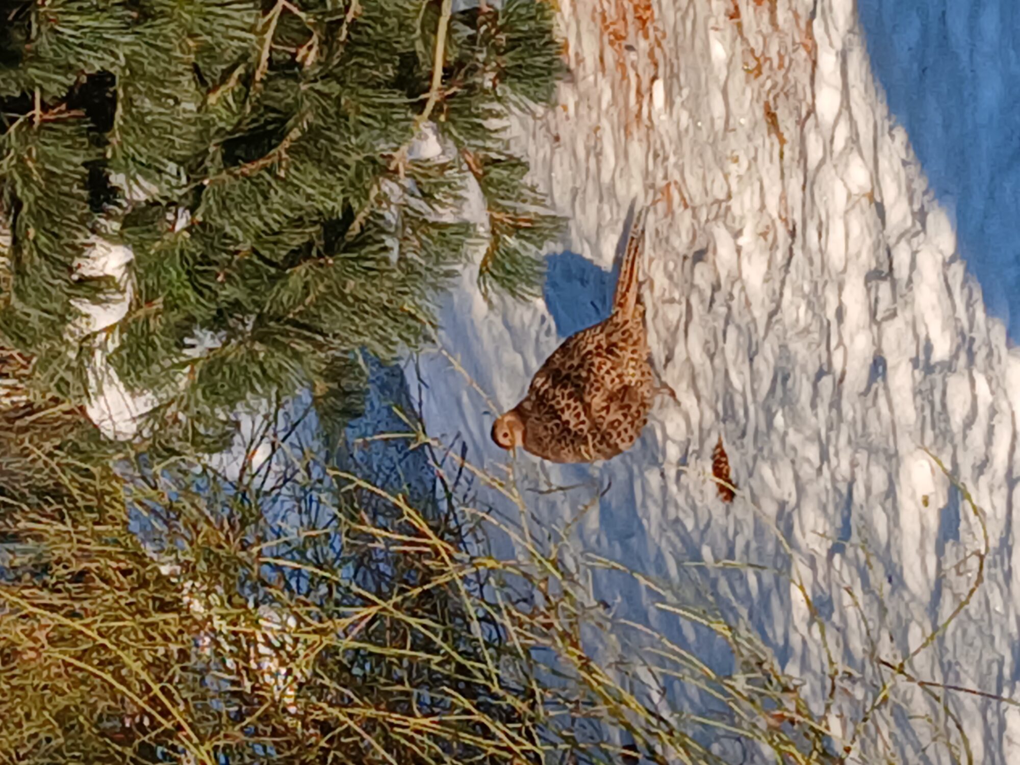 Valokuvaaja: Heidi Laakso