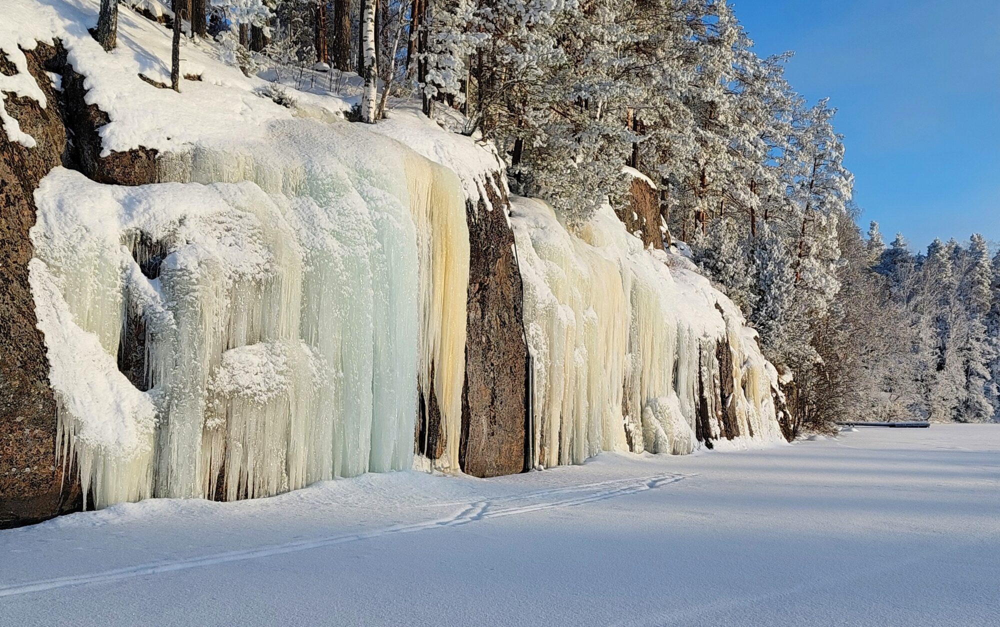 Valokuvaaja: Tarja Naukkarinen