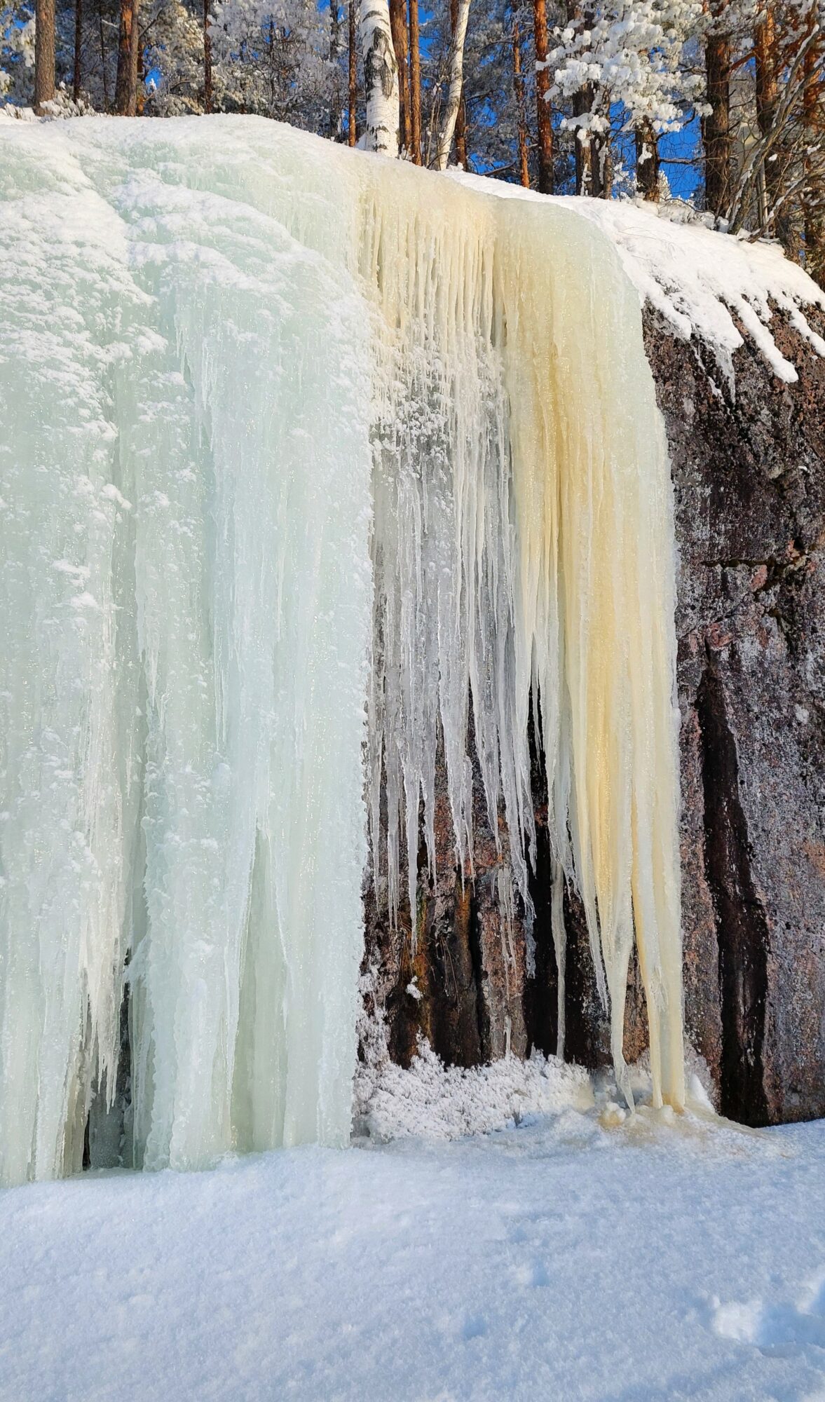 Valokuvaaja: Tarja Naukkarinen