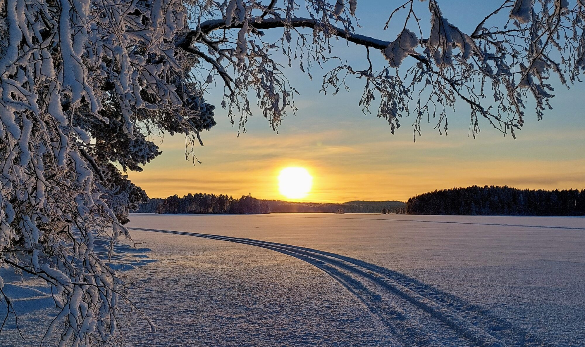 Valokuvaaja: Tarja Naukkarinen