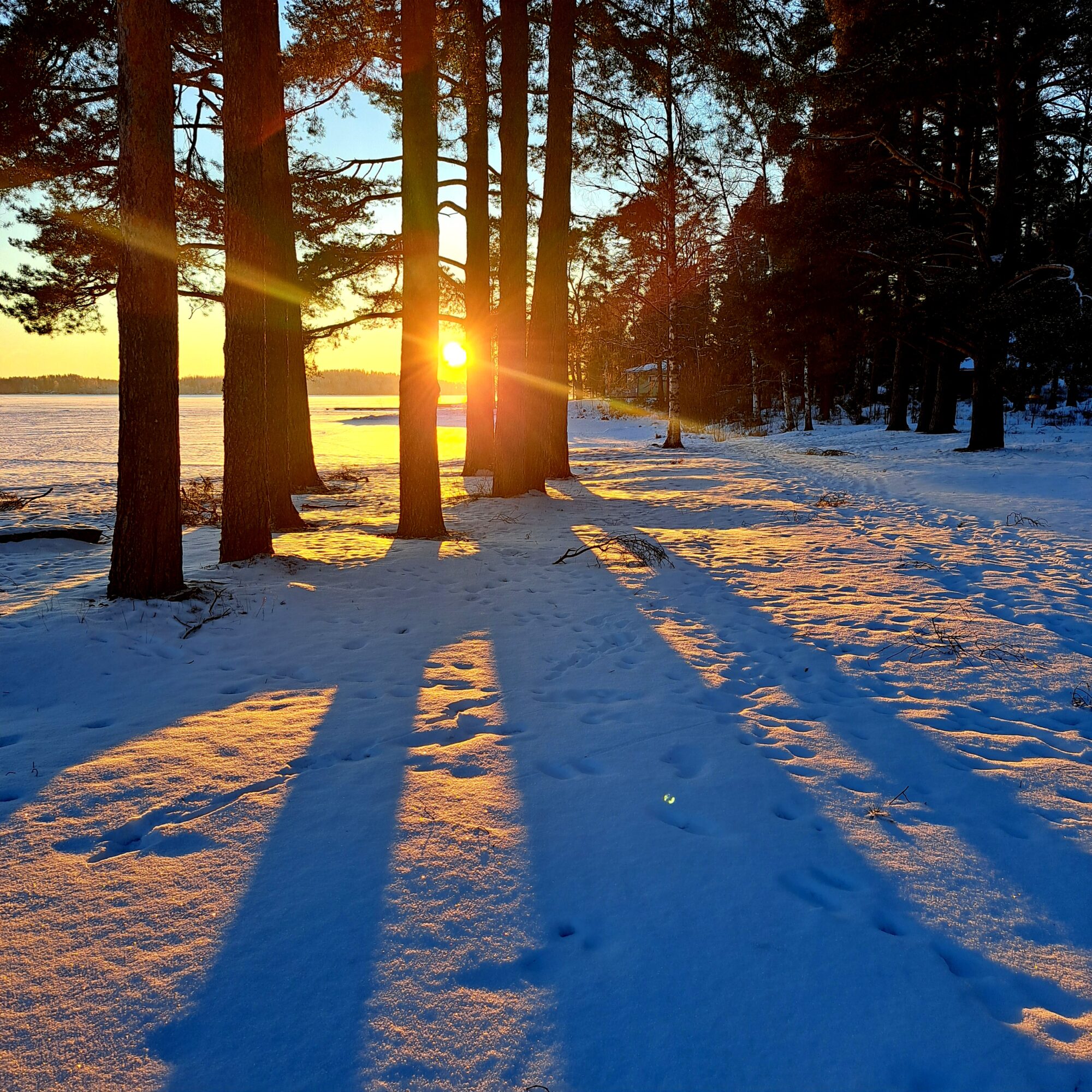 Valokuvaaja: Irja Lehtinen