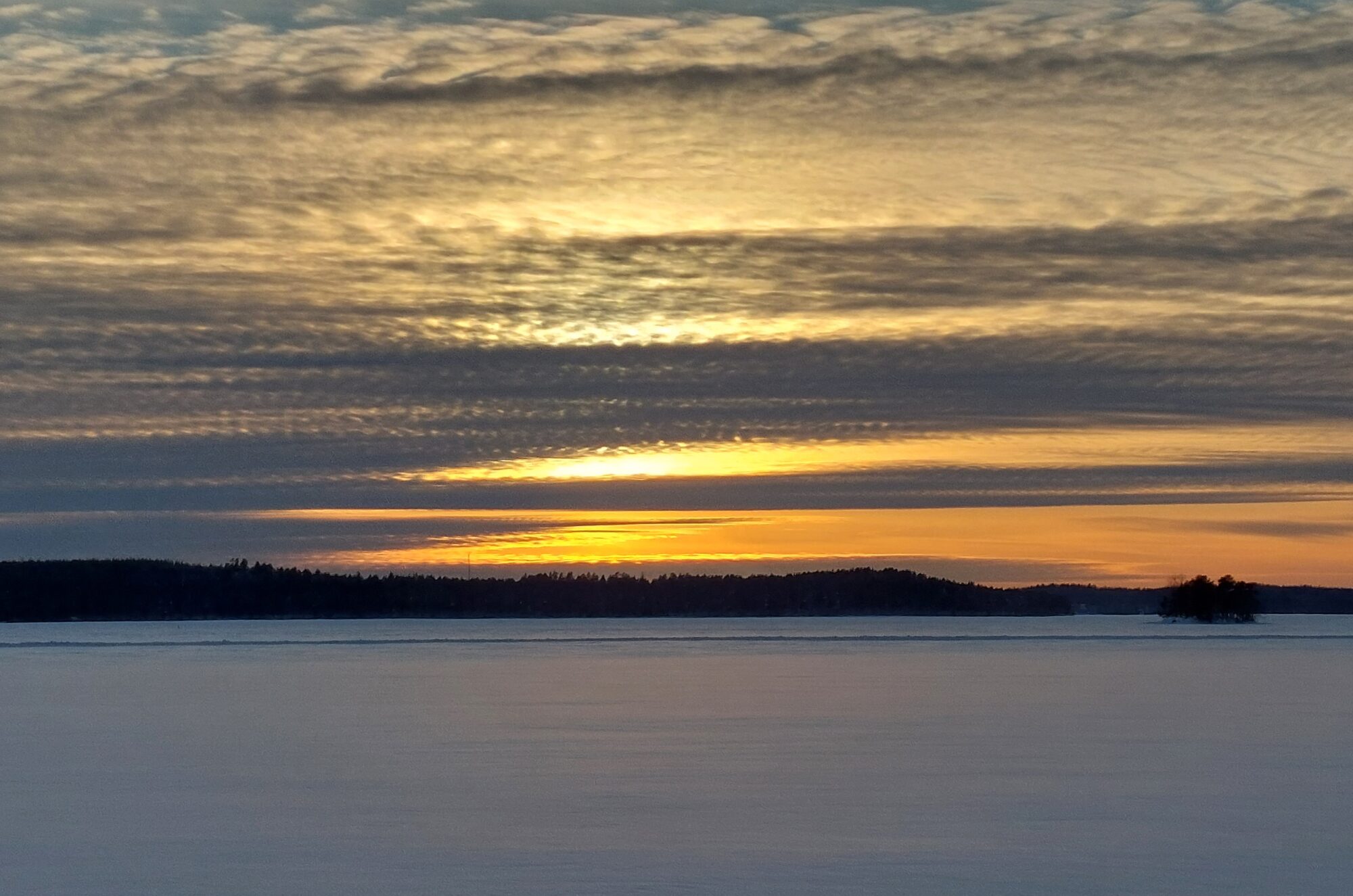 Valokuvaaja: Tarja Naukkarinen