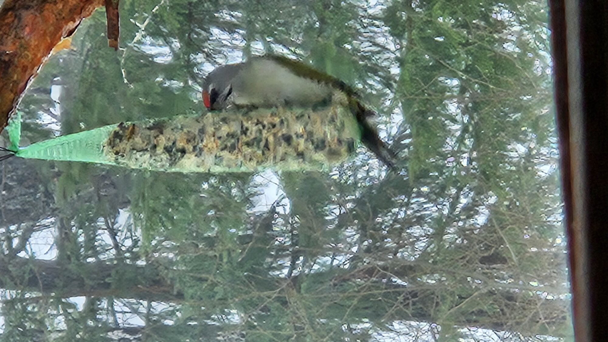 Valokuvaaja: Hannele Malmström