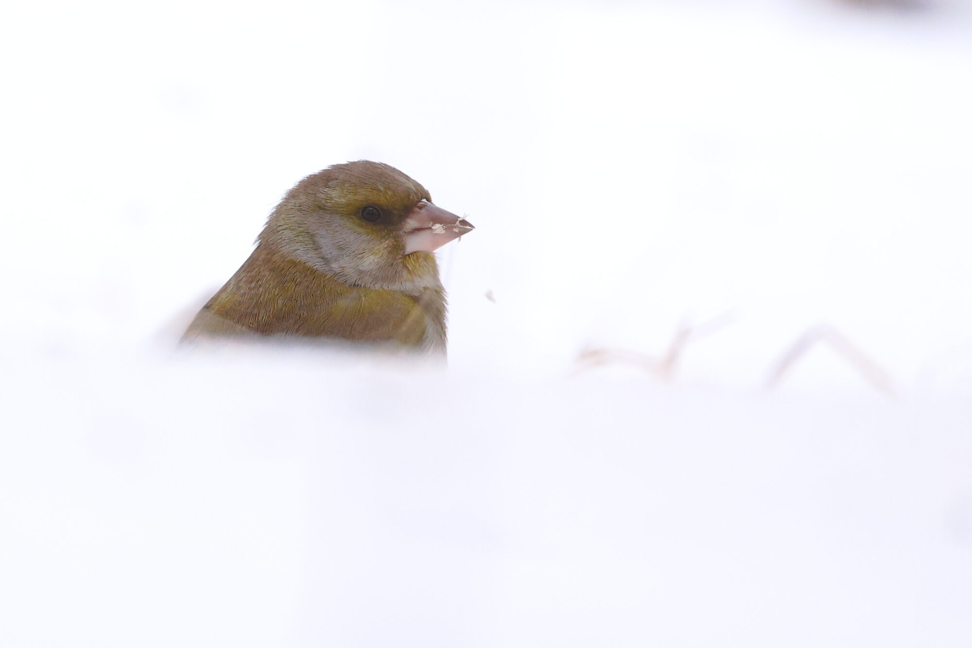 Valokuvaaja: Jouni Kalliomäki