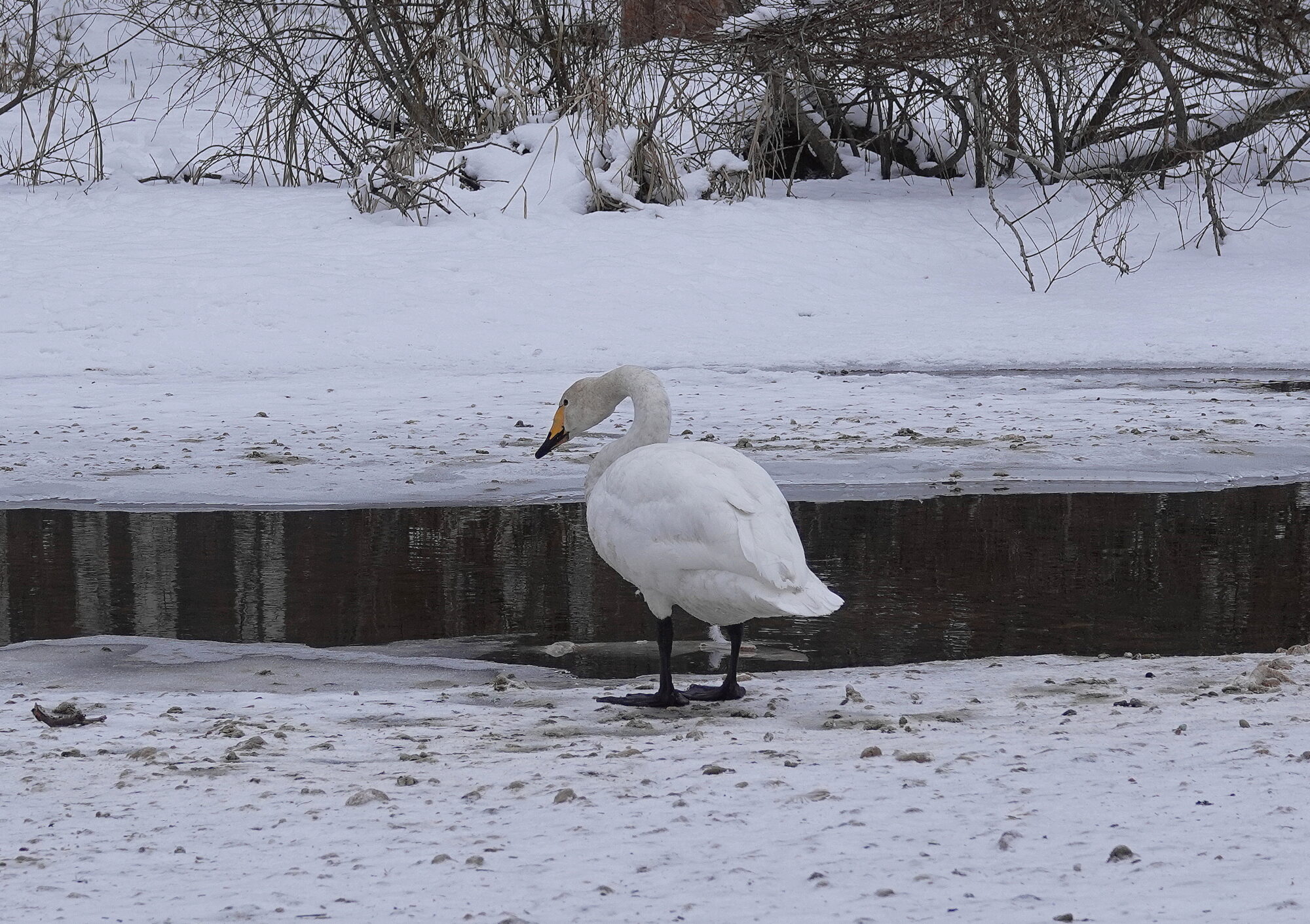 Valokuvaaja: Raija Oksanen