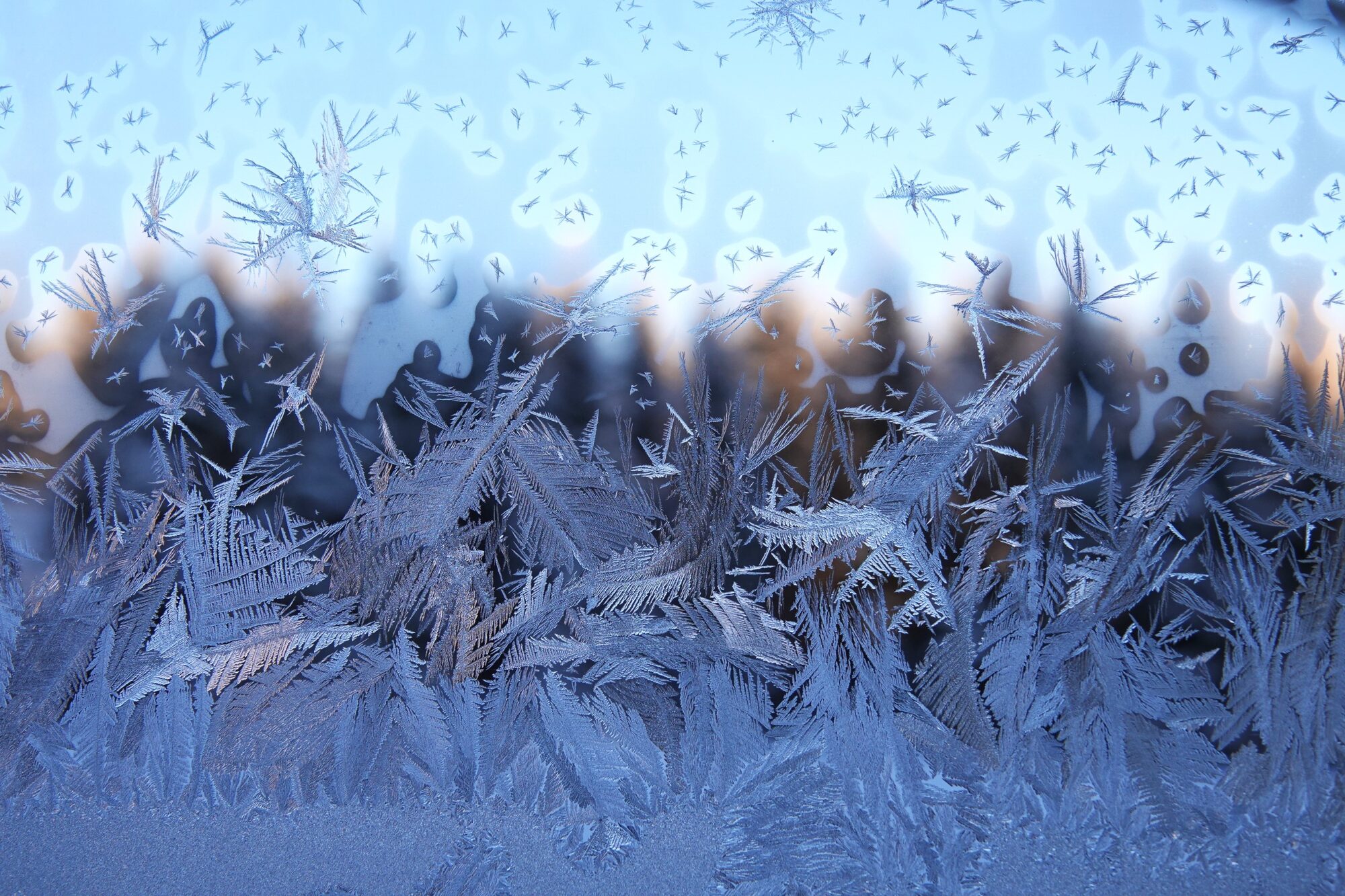 Valokuvaaja: Kaarina Heiskanen