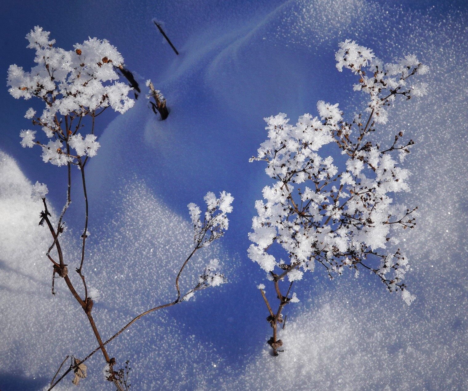Valokuvaaja: Kaarina Heiskanen