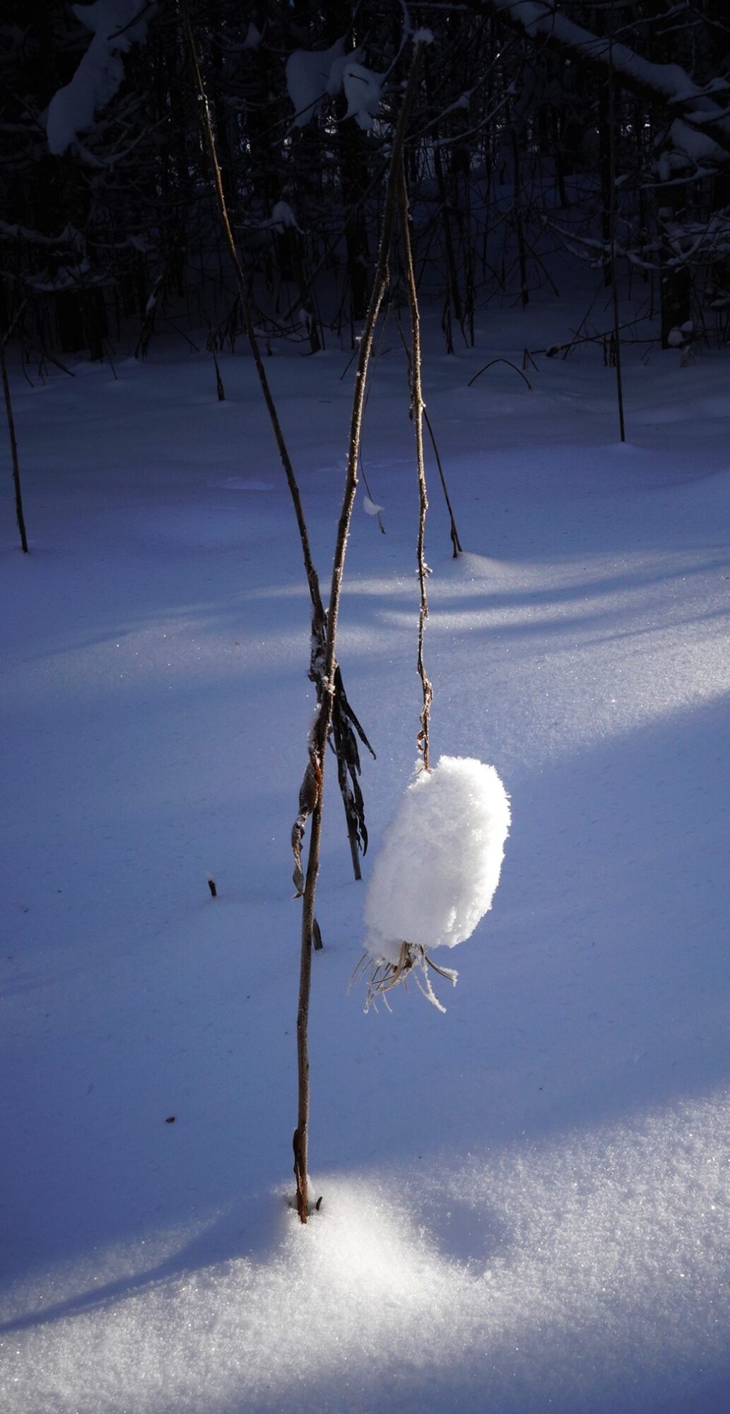 Valokuvaaja: Kaarina Heiskanen