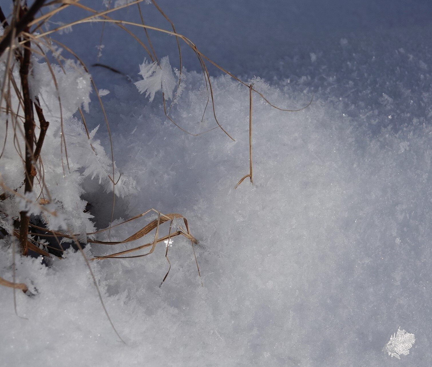 Valokuvaaja: Kaarina Heiskanen