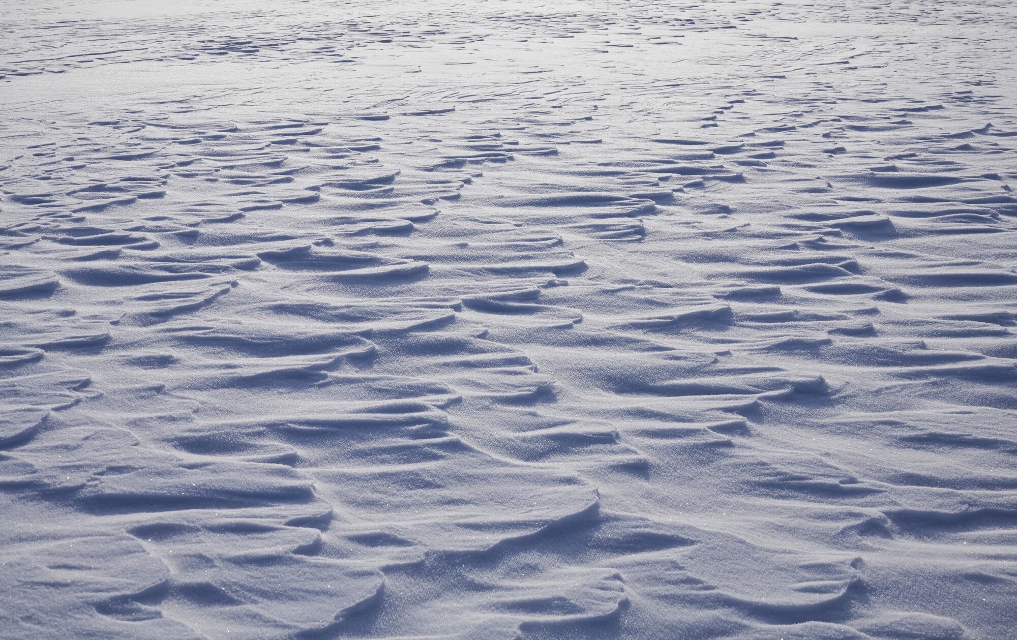 Valokuvaaja: Kaarina Heiskanen