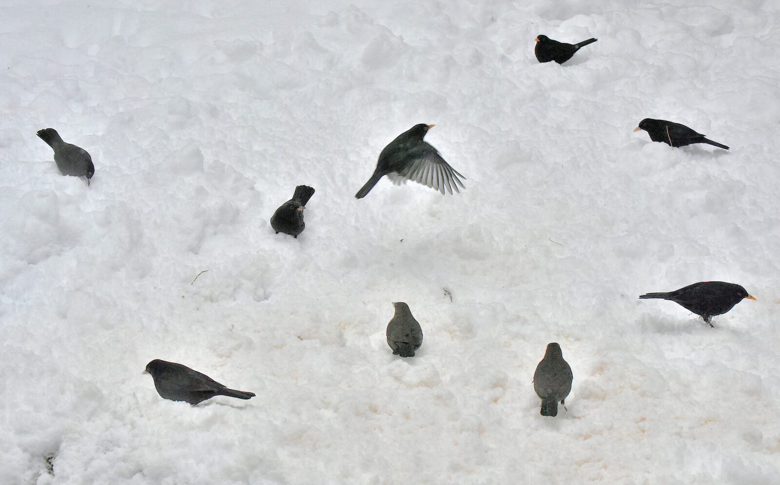 Valokuvaaja: Reijo Juurinen