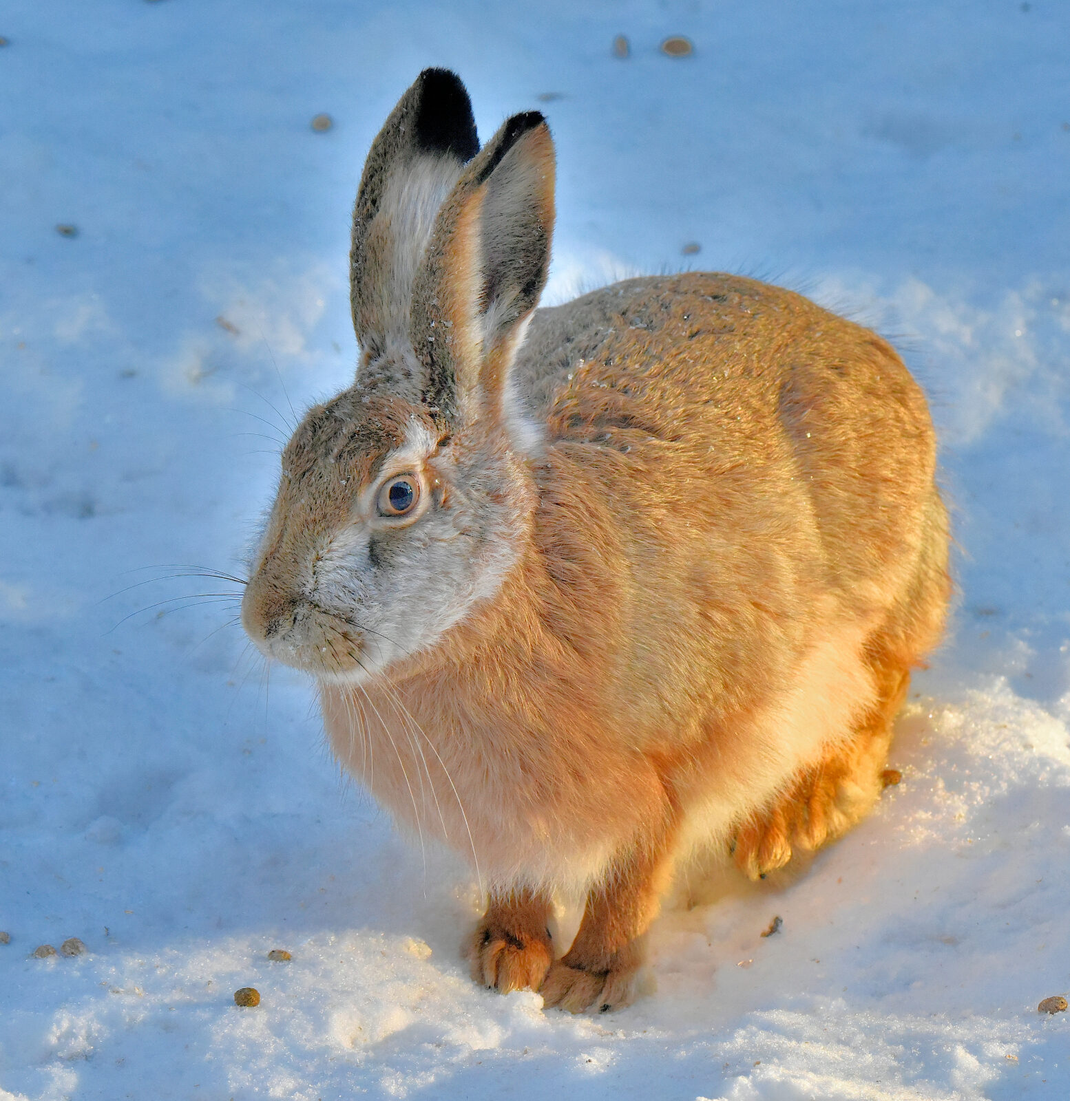 Valokuvaaja: Reijo Juurinen