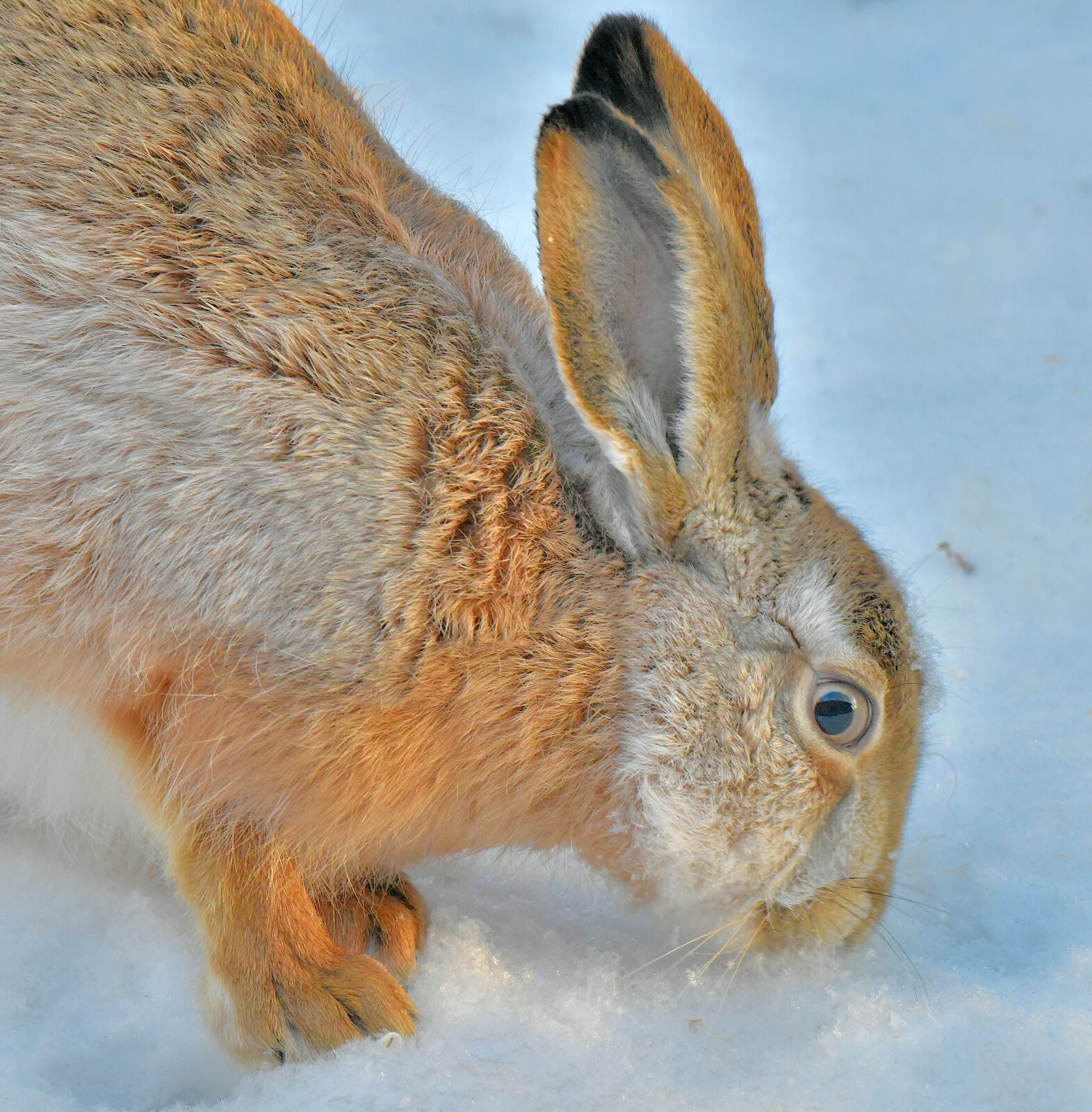 Valokuvaaja: Reijo Juurinen