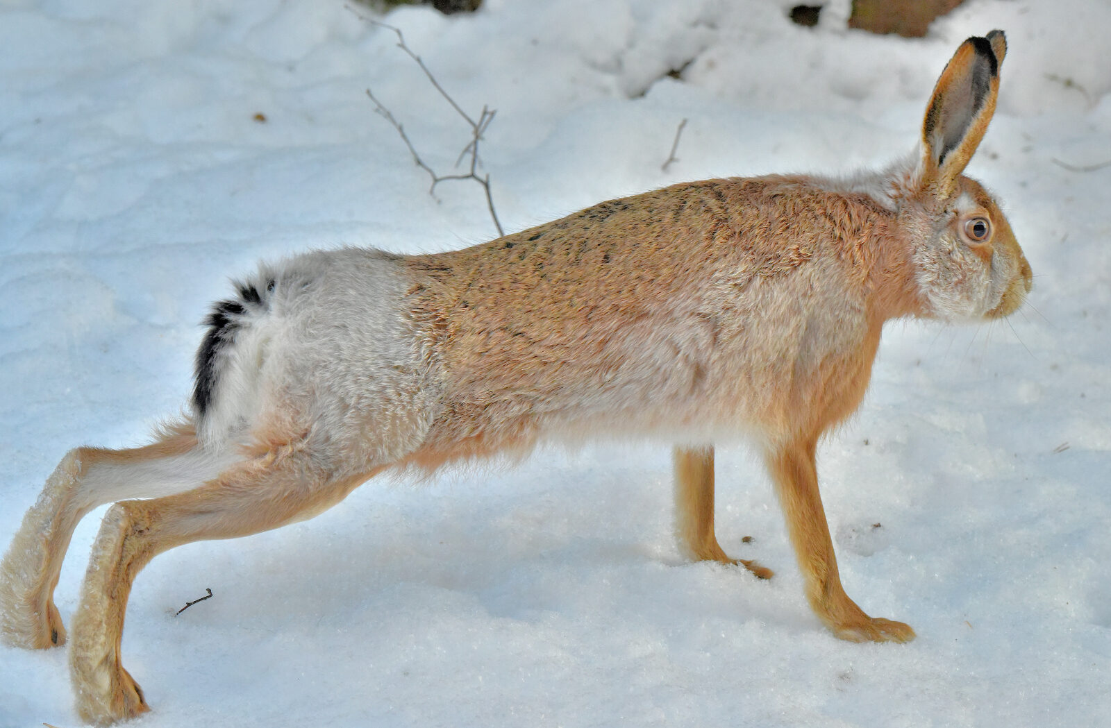 Valokuvaaja: Reijo Juurinen