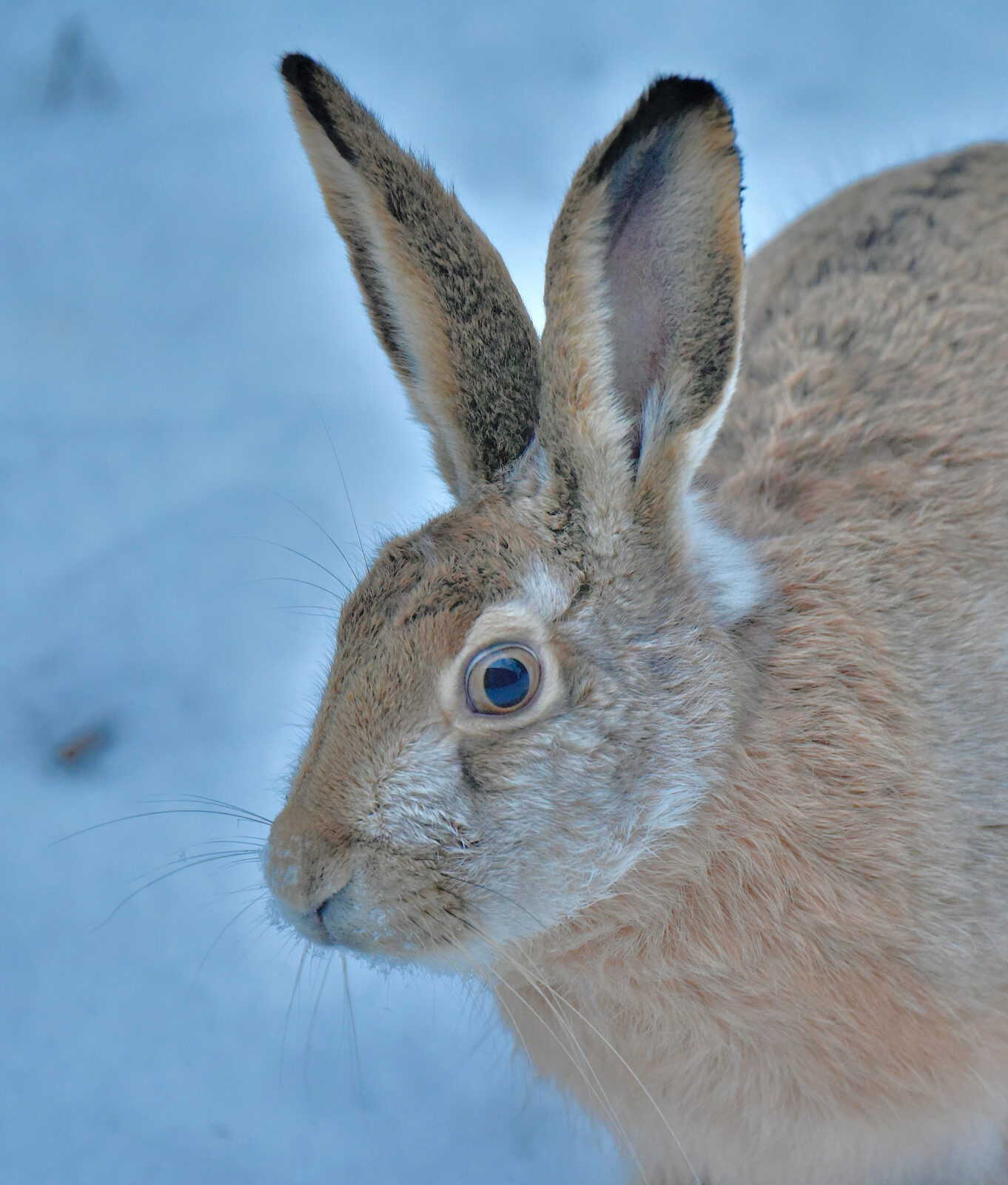 Valokuvaaja: Reijo Juurinen