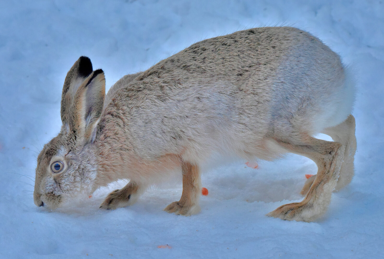 Valokuvaaja: Reijo Juurinen