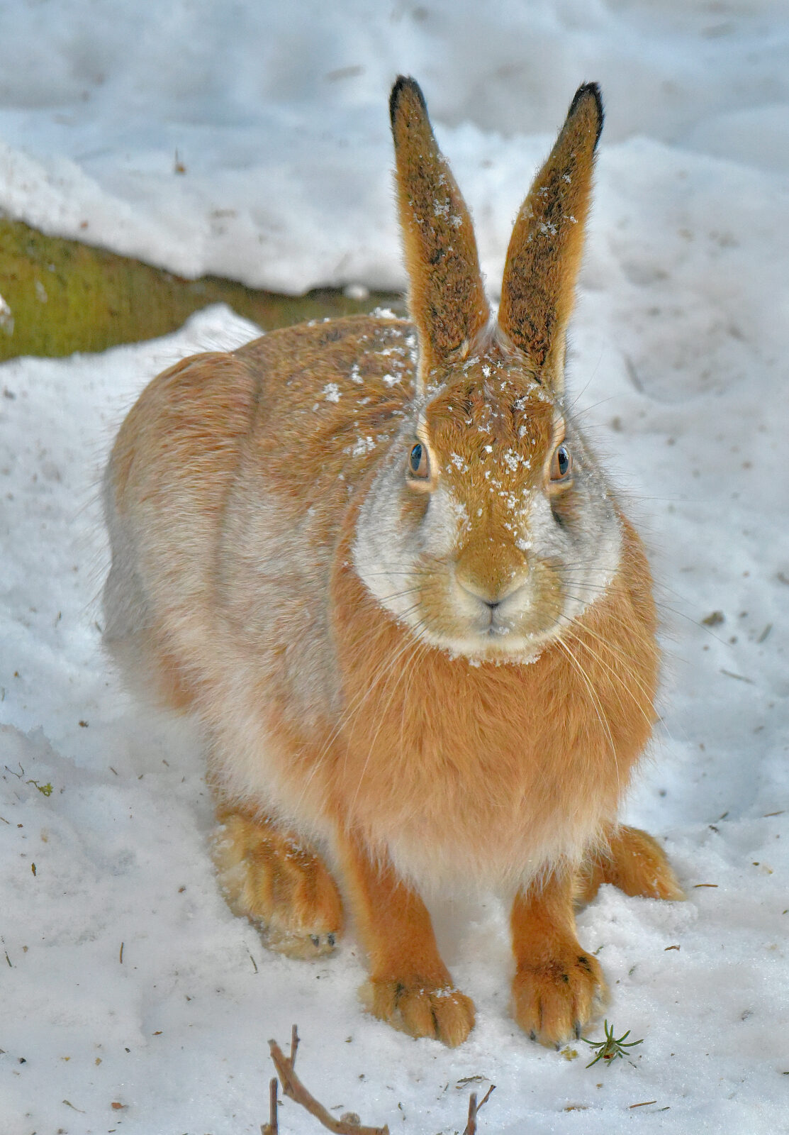 Valokuvaaja: Reijo Juurinen
