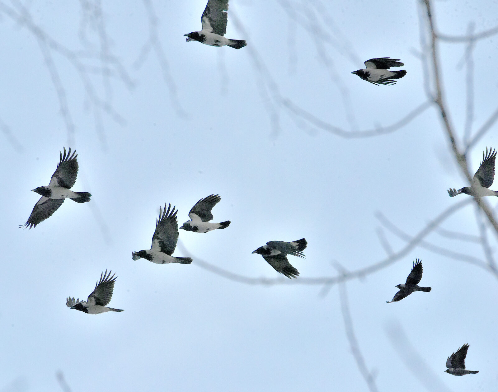 Valokuvaaja: Reijo Juurinen