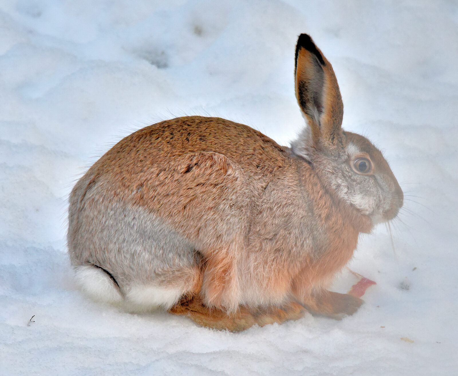 Valokuvaaja: Reijo Juurinen