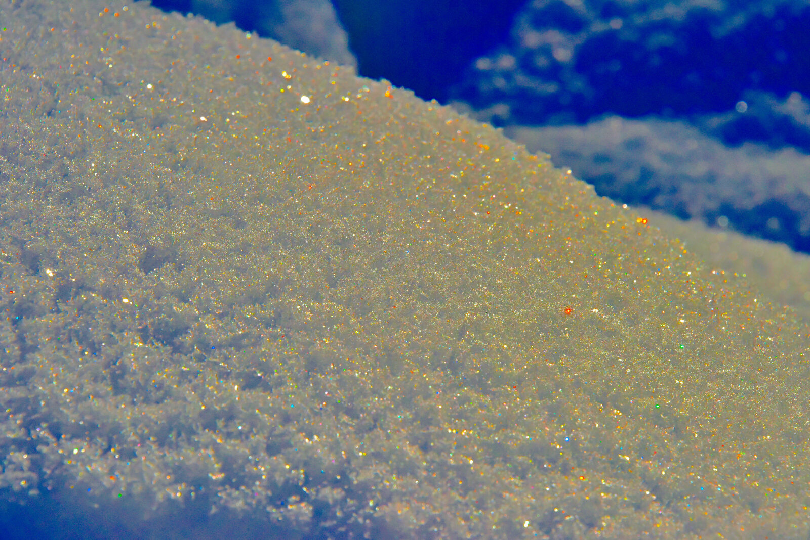 Valokuvaaja: Reijo Juurinen